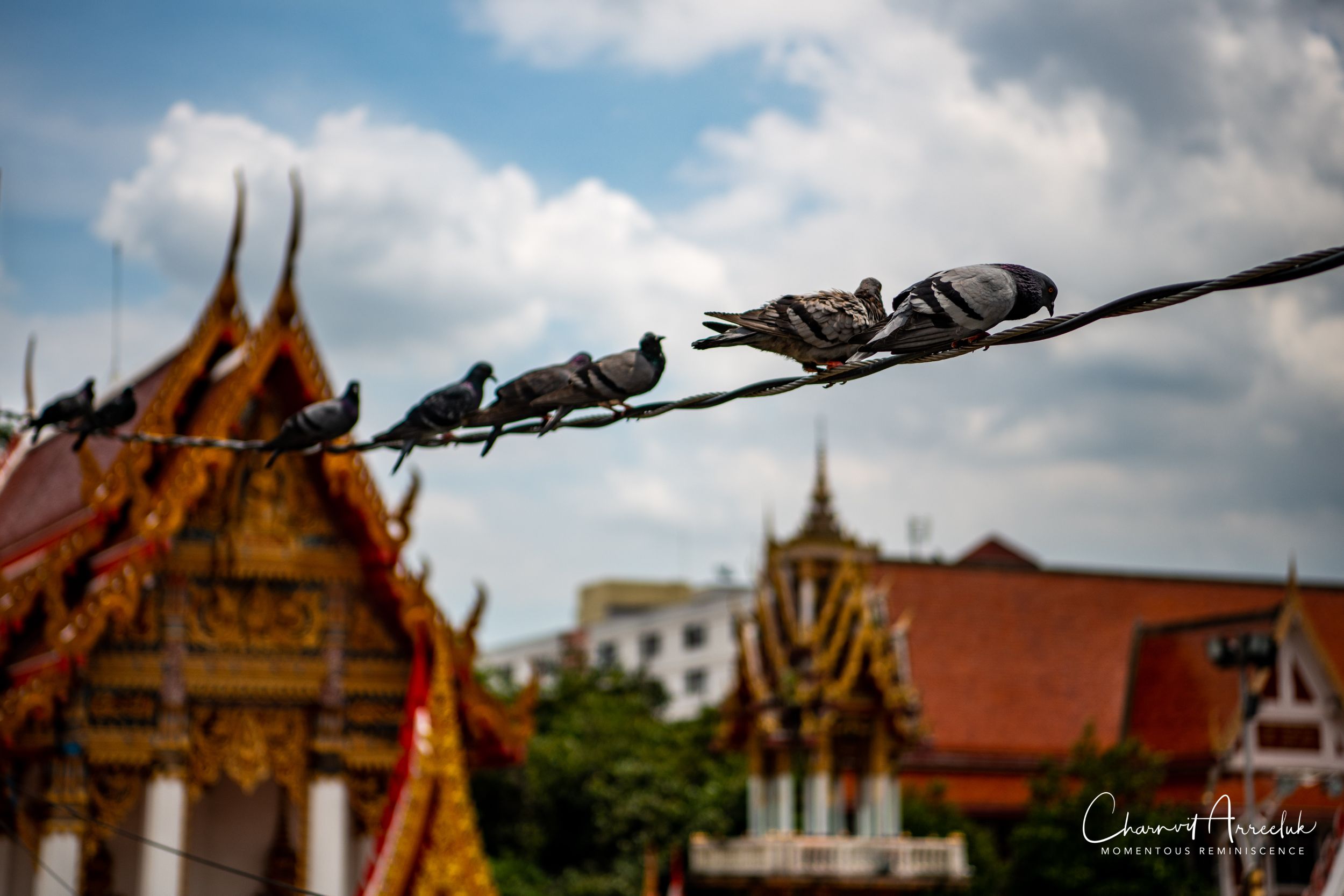 2018-09-01 - Kwan Riam Market-35_Resize.jpg