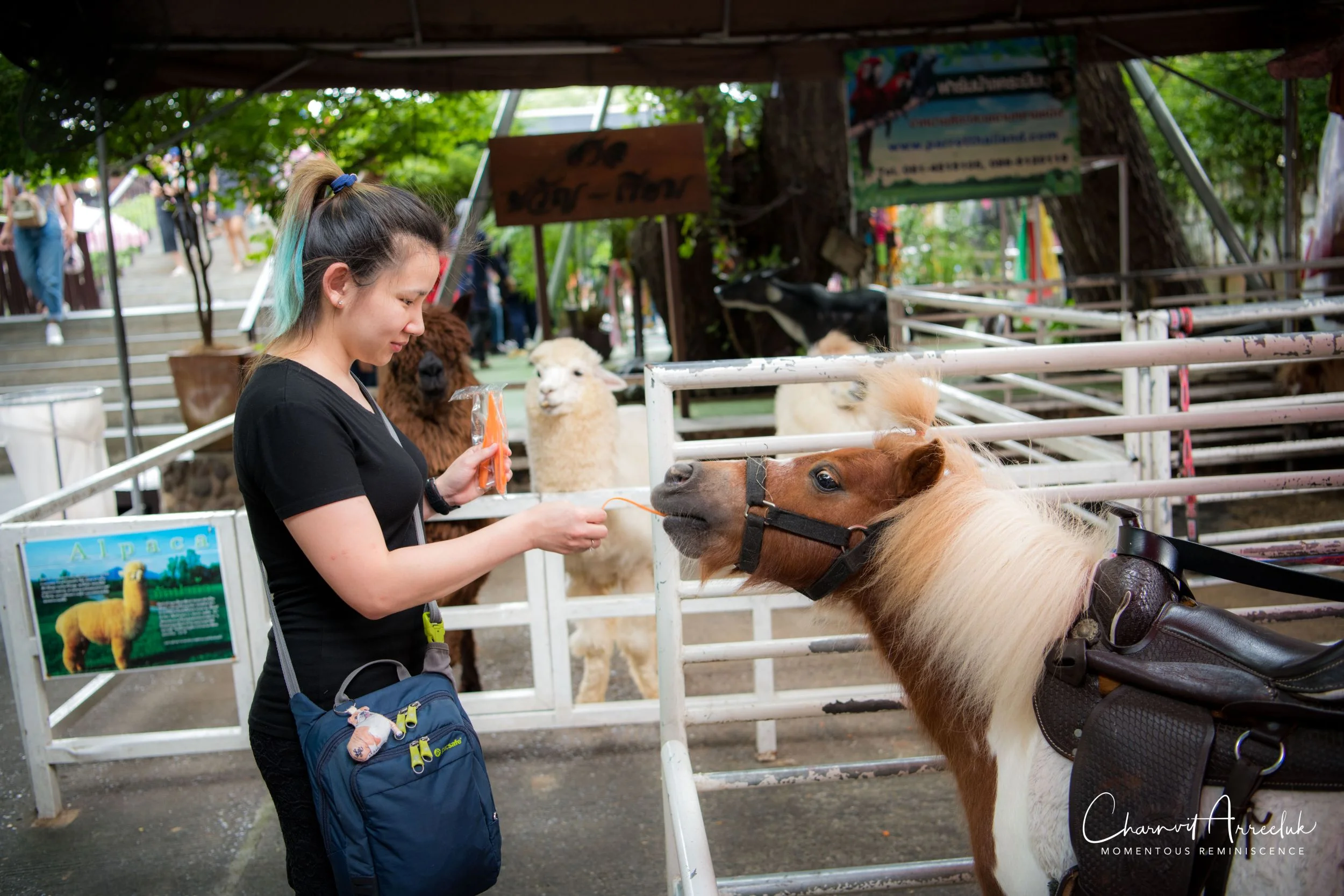 2018-09-01 - Kwan Riam Market-41_Resize.jpg