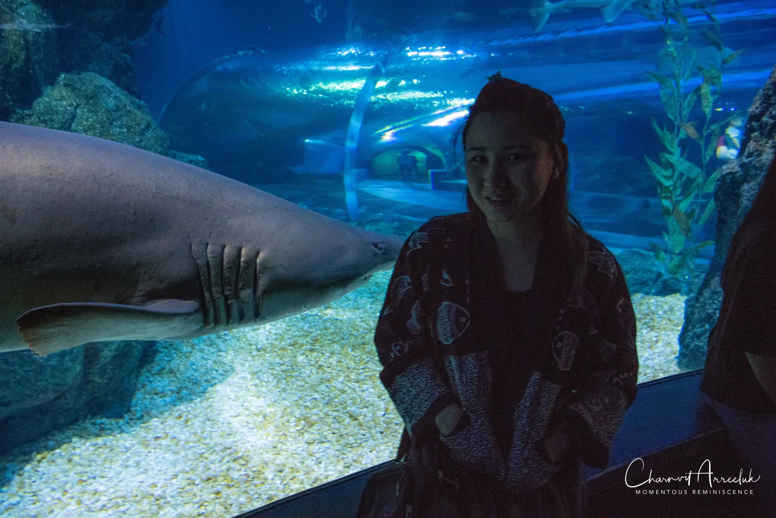 2018-11-19 - Siam Ocean World-125_Resize.jpg