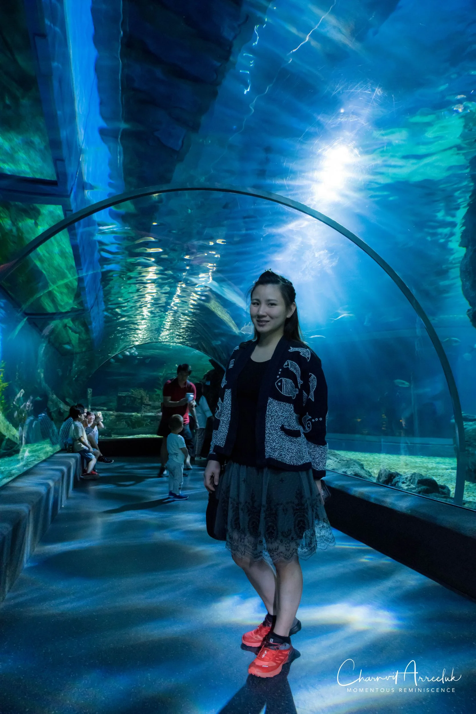 2018-11-19 - Siam Ocean World-129_Resize.jpg