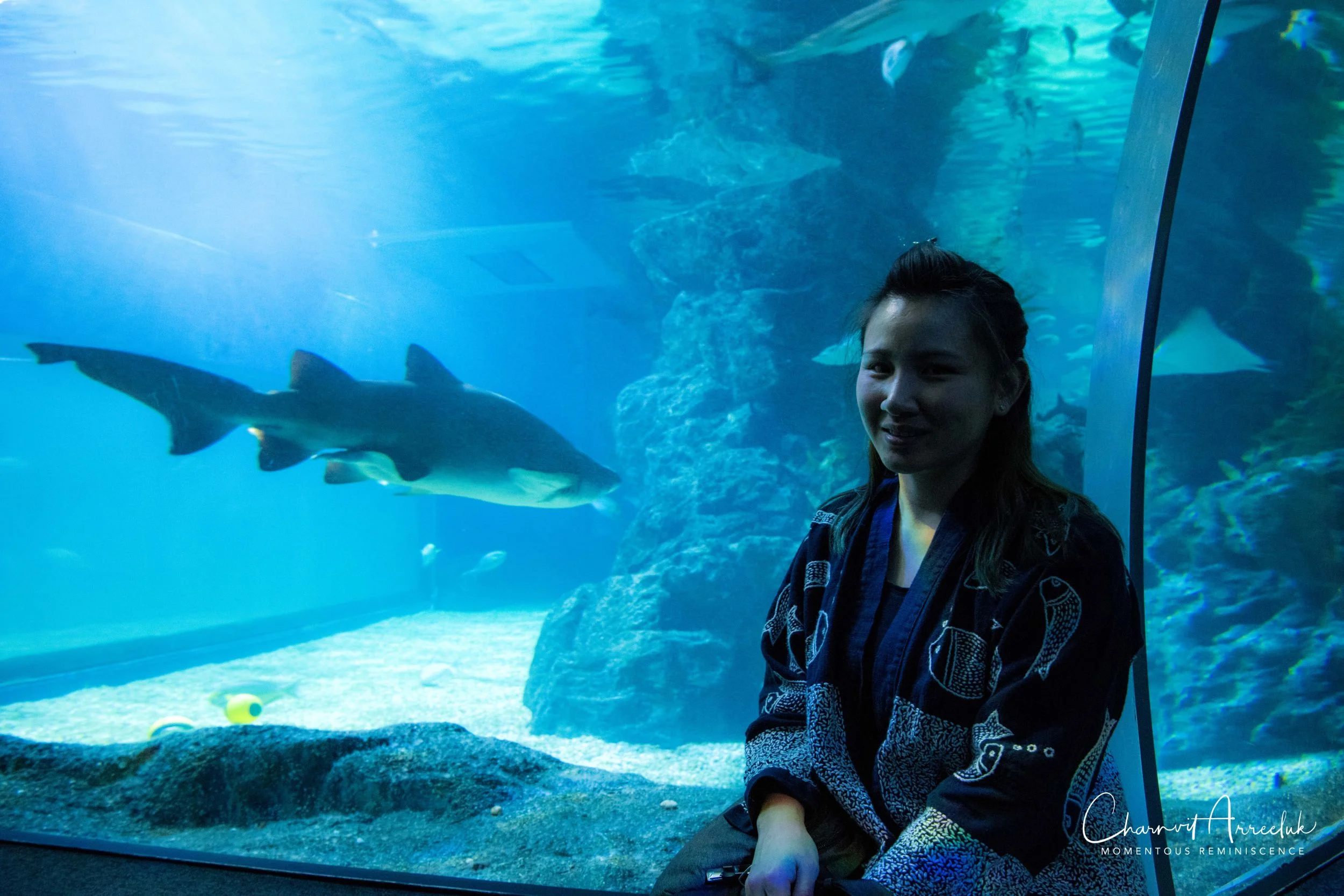 2018-11-19 - Siam Ocean World-328_Resize.jpg
