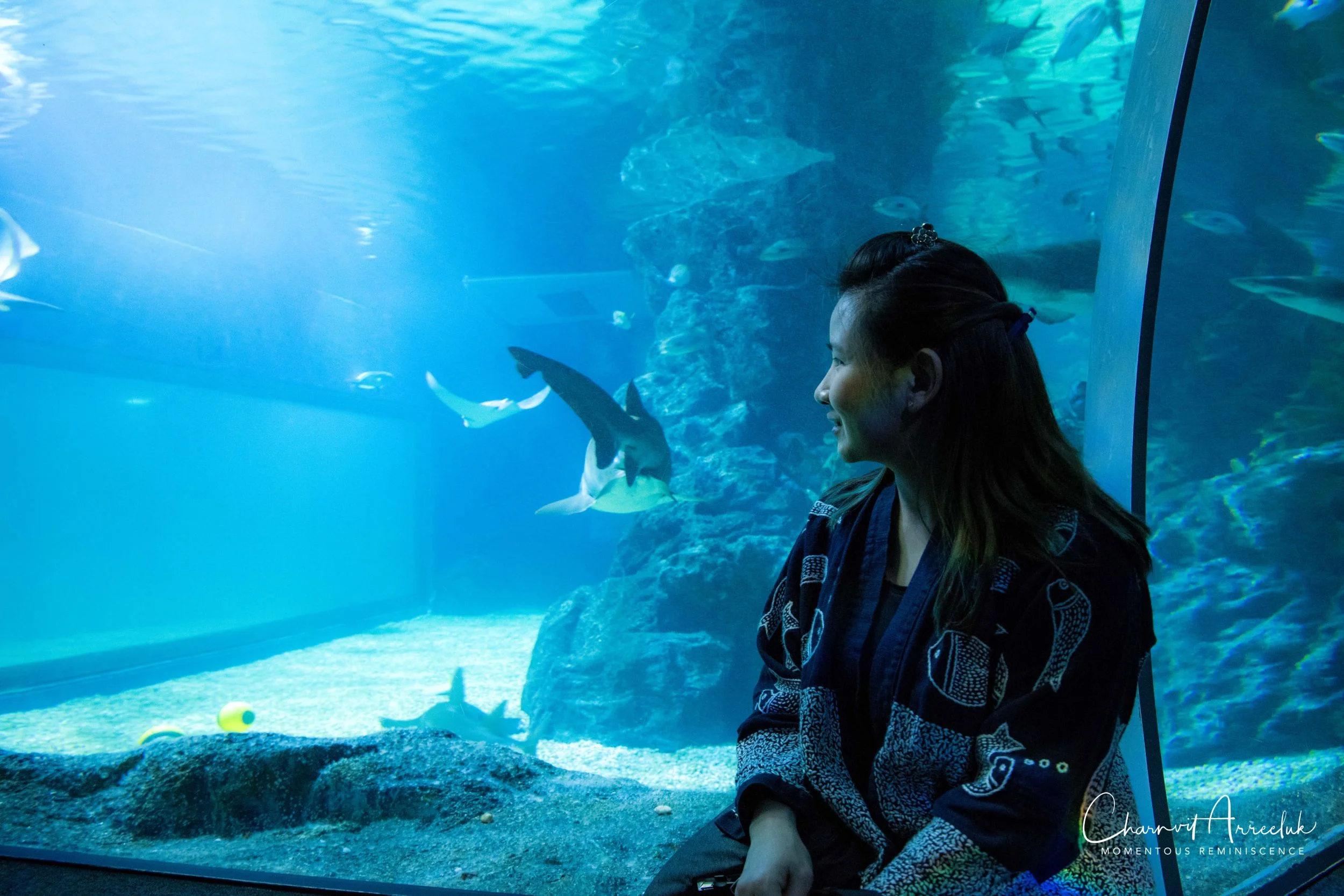 2018-11-19 - Siam Ocean World-330_Resize.jpg
