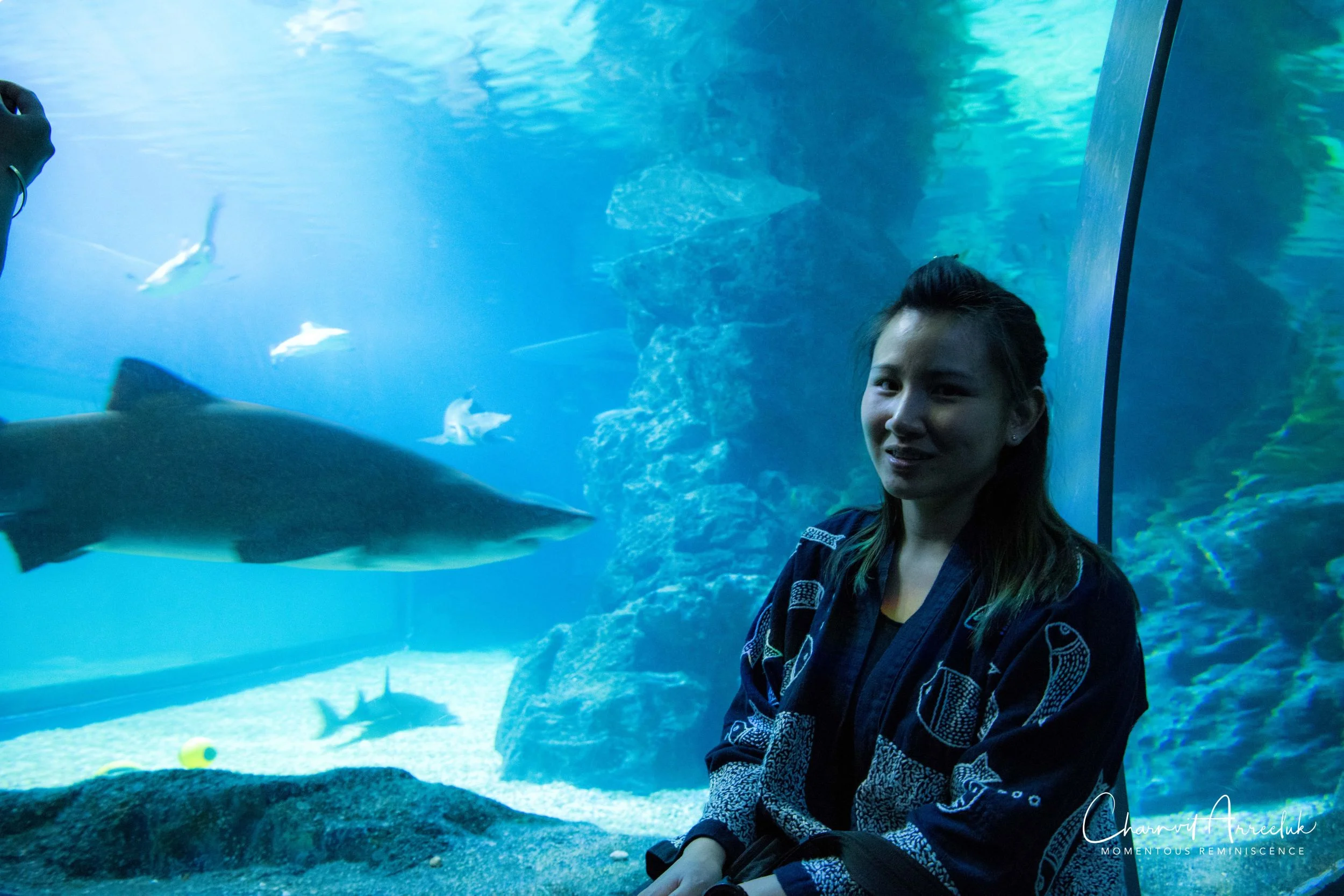 2018-11-19 - Siam Ocean World-337_Resize.jpg