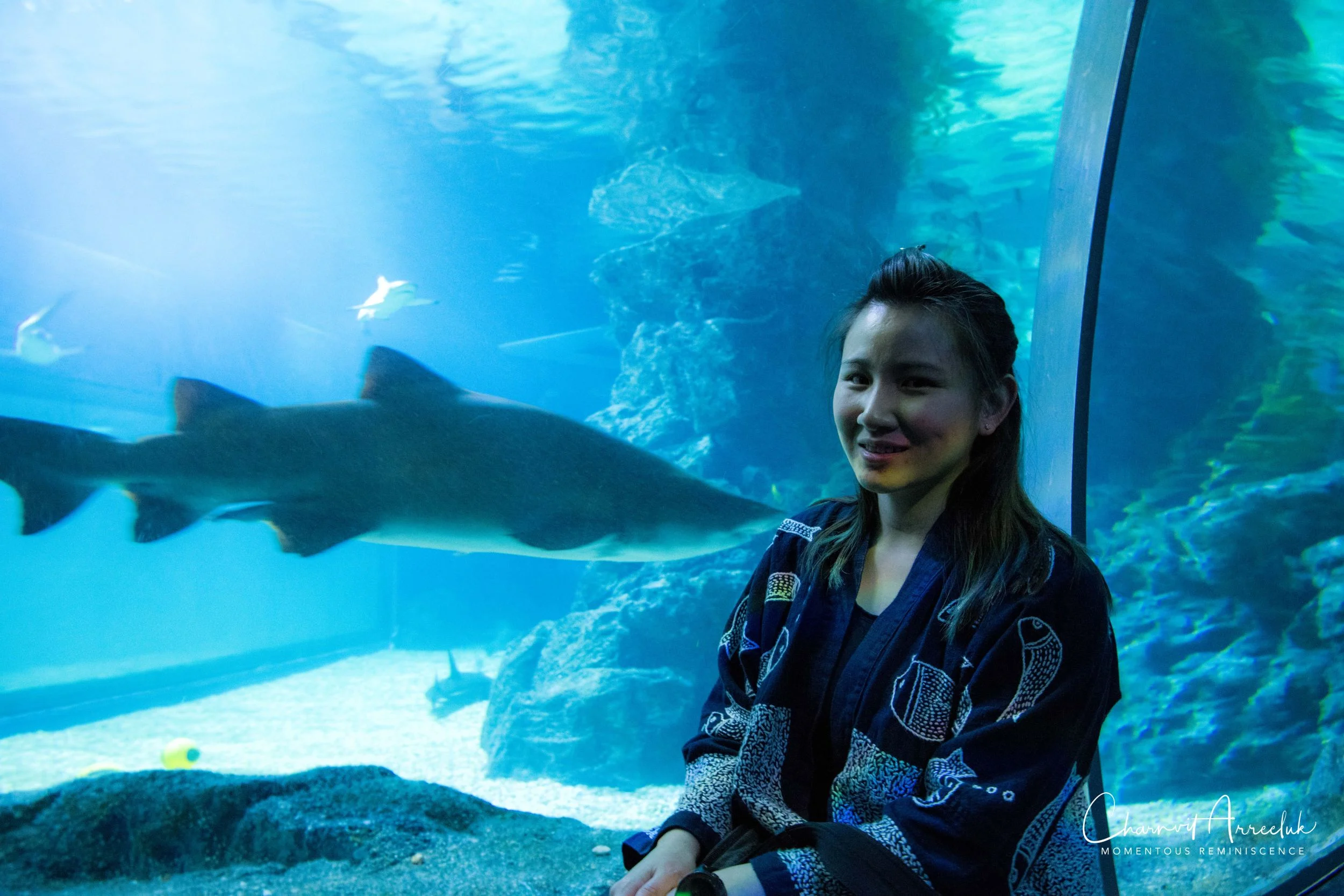 2018-11-19 - Siam Ocean World-340_Resize.jpg