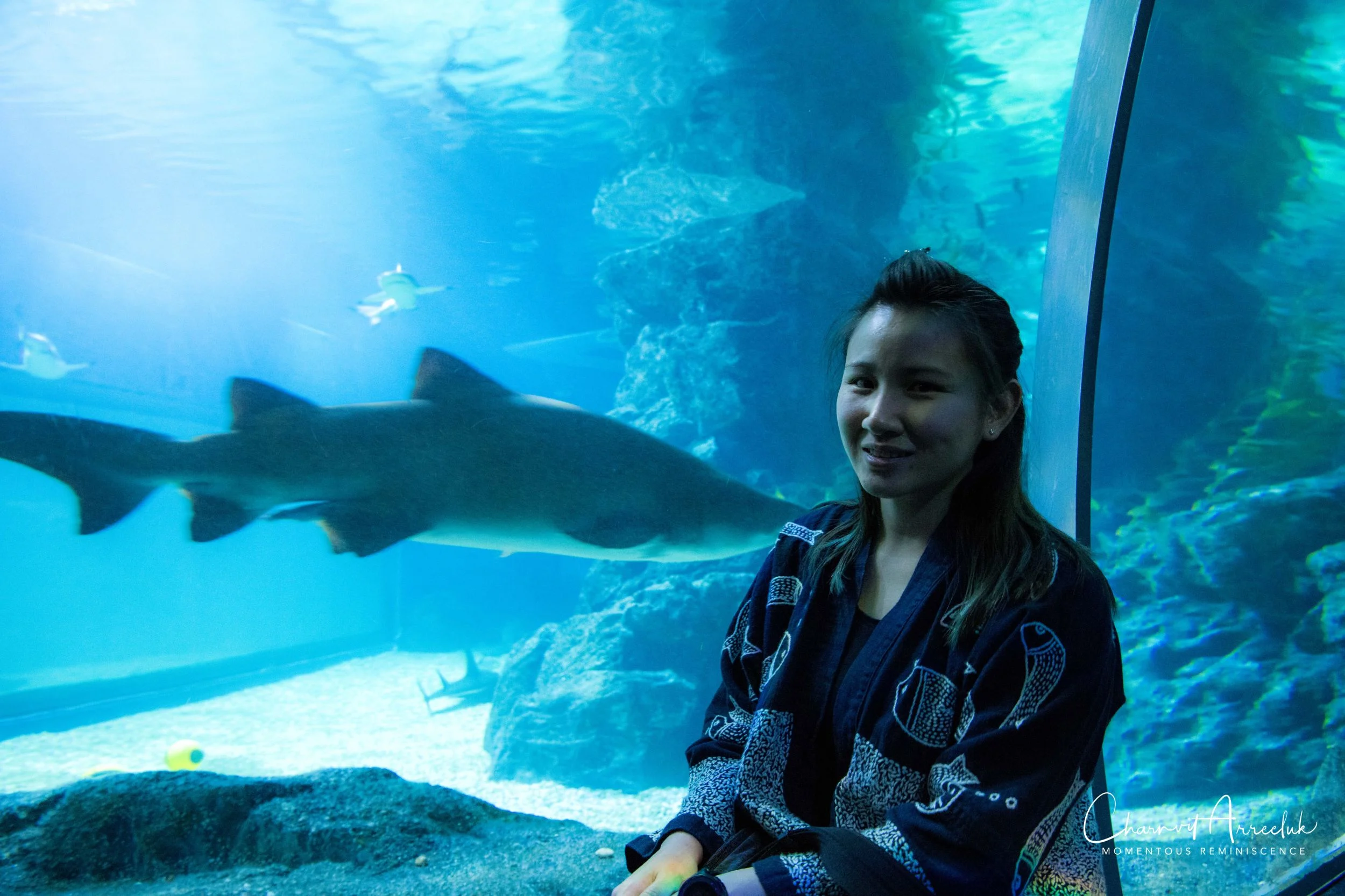 2018-11-19 - Siam Ocean World-341_Resize.jpg
