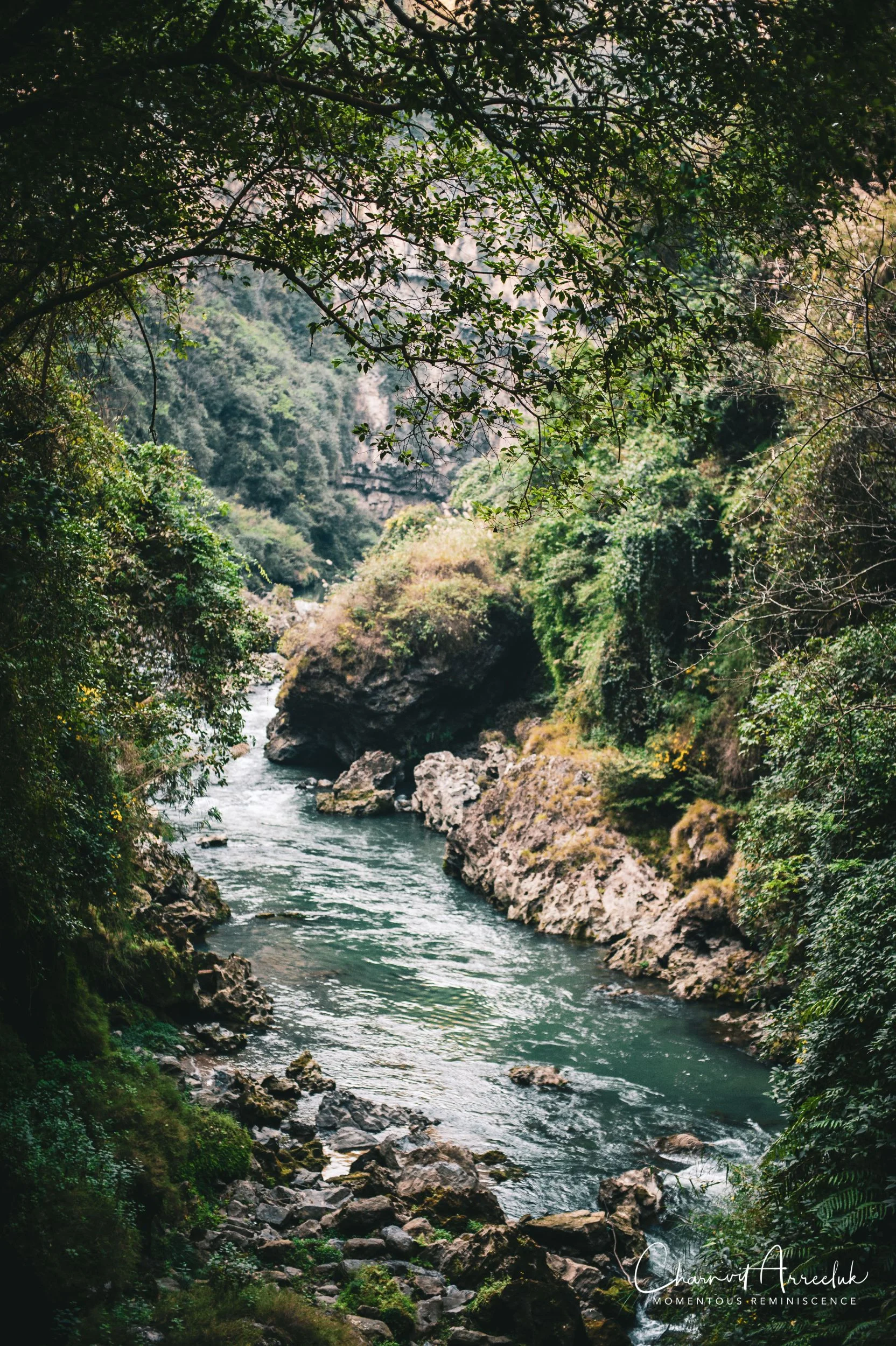 2019-02-08 - Shangri-la-21_Resize.jpg