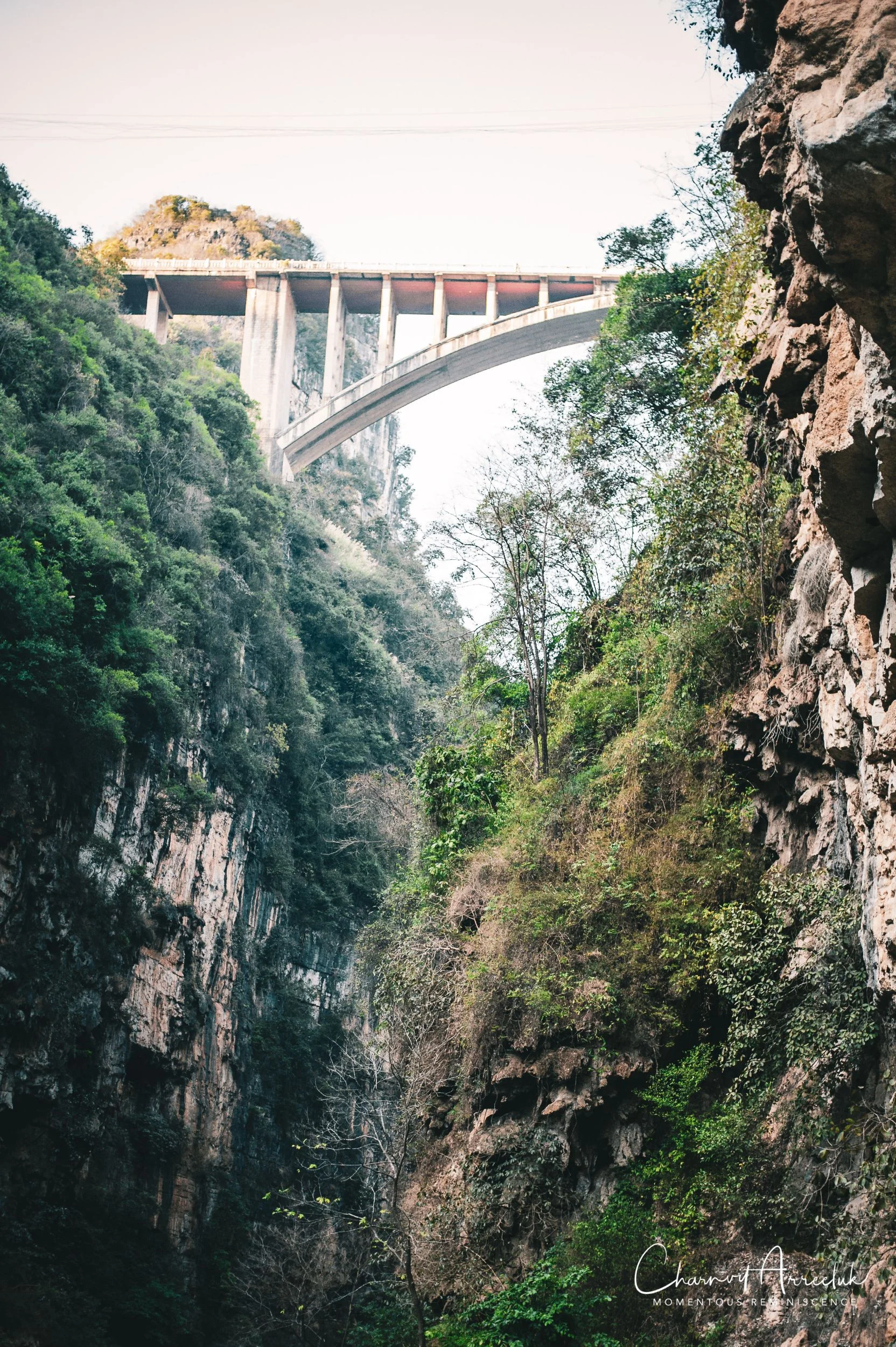 2019-02-08 - Shangri-la-28_Resize.jpg