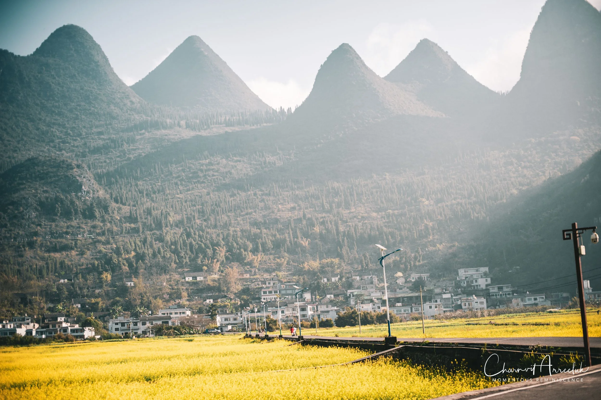 2019-02-08 - Shangri-la-71_Resize.jpg