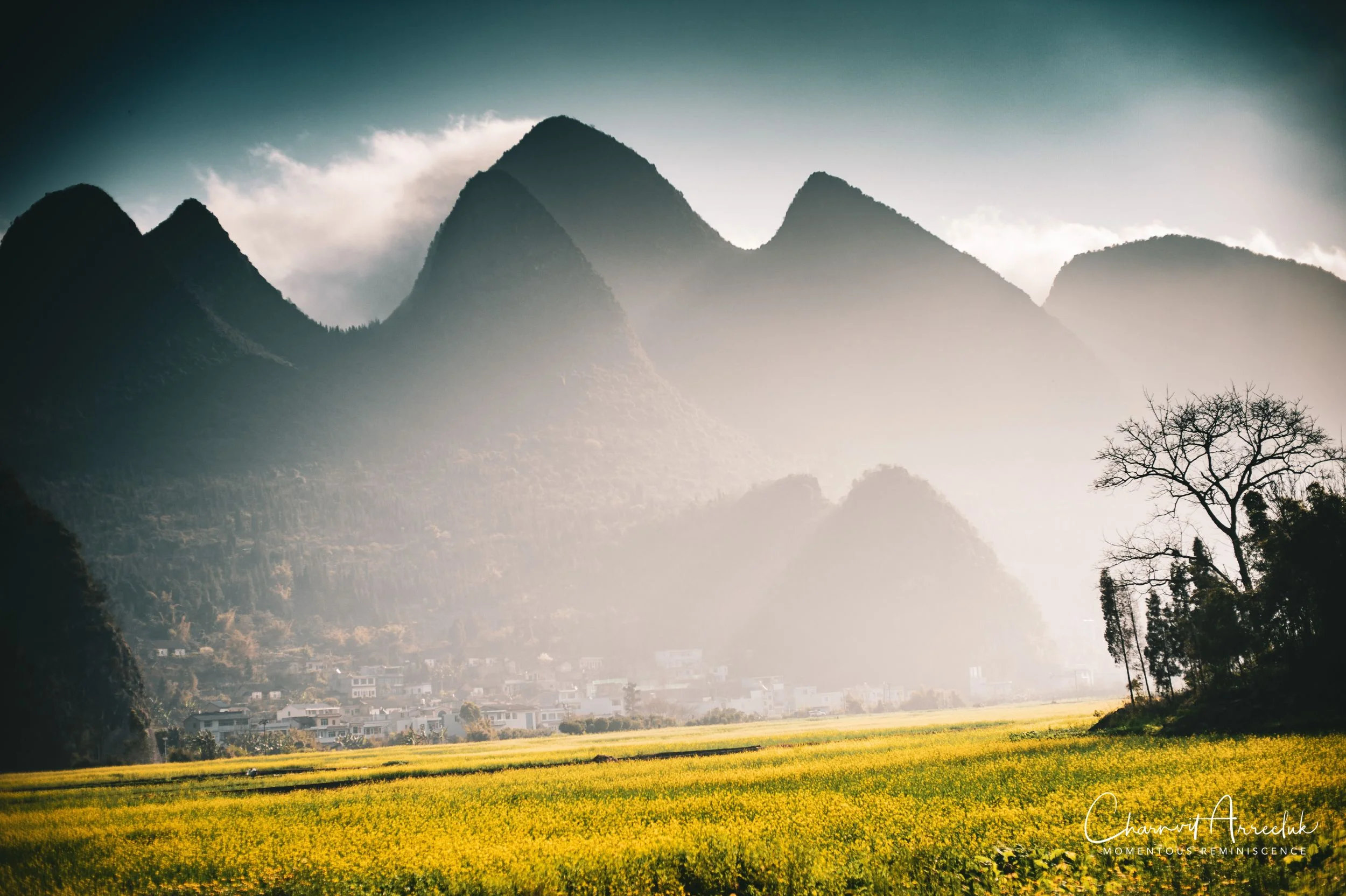 2019-02-08 - Shangri-la-73_Resize.jpg