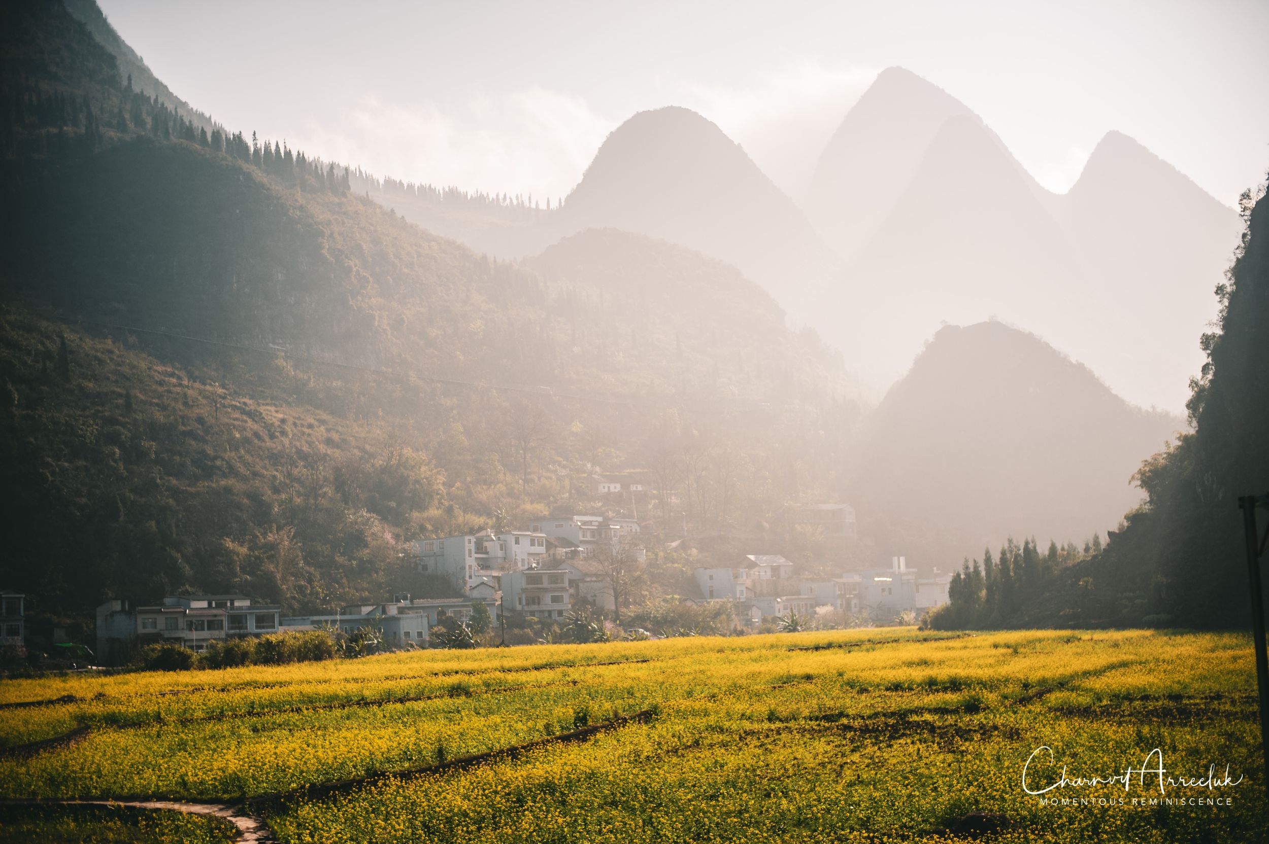 2019-02-08 - Shangri-la-74_Resize.jpg