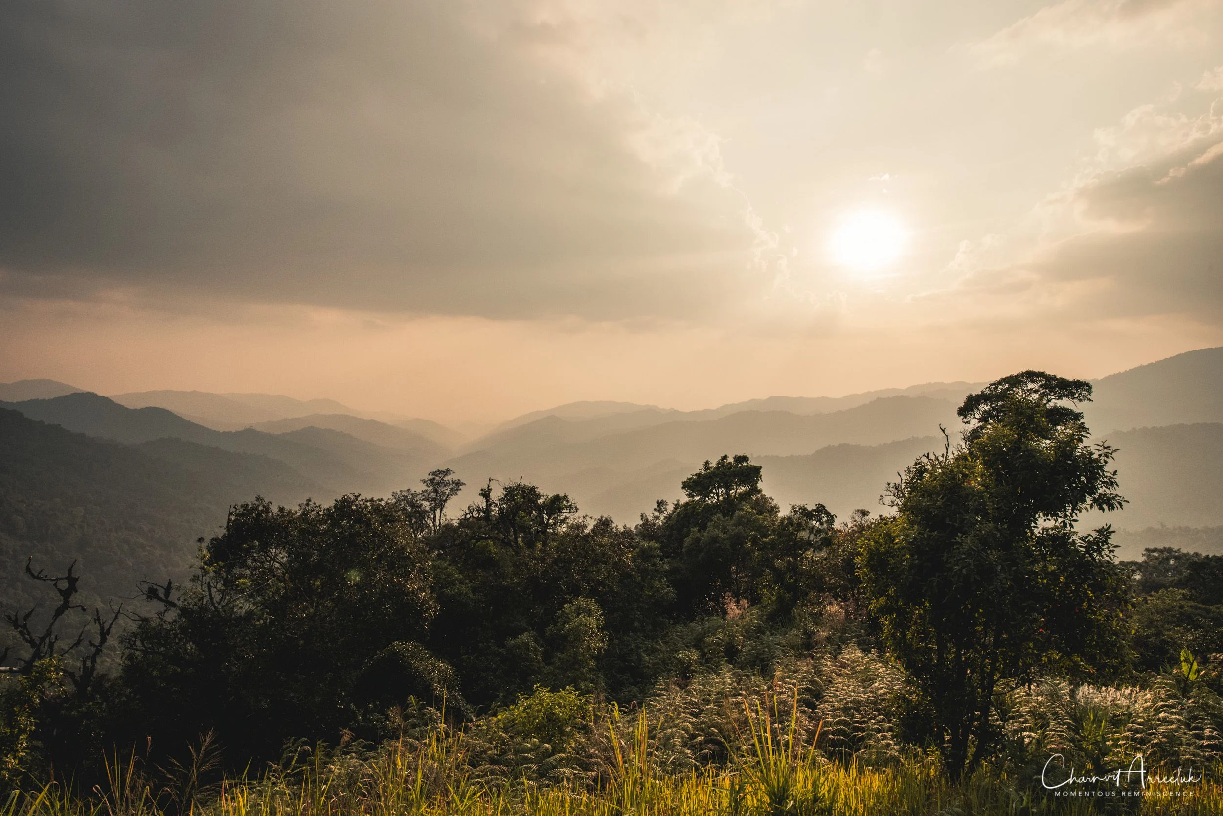 2019-03-01 - Mae Wong National Park - Kampaeng Phet-70_Resize.jpg