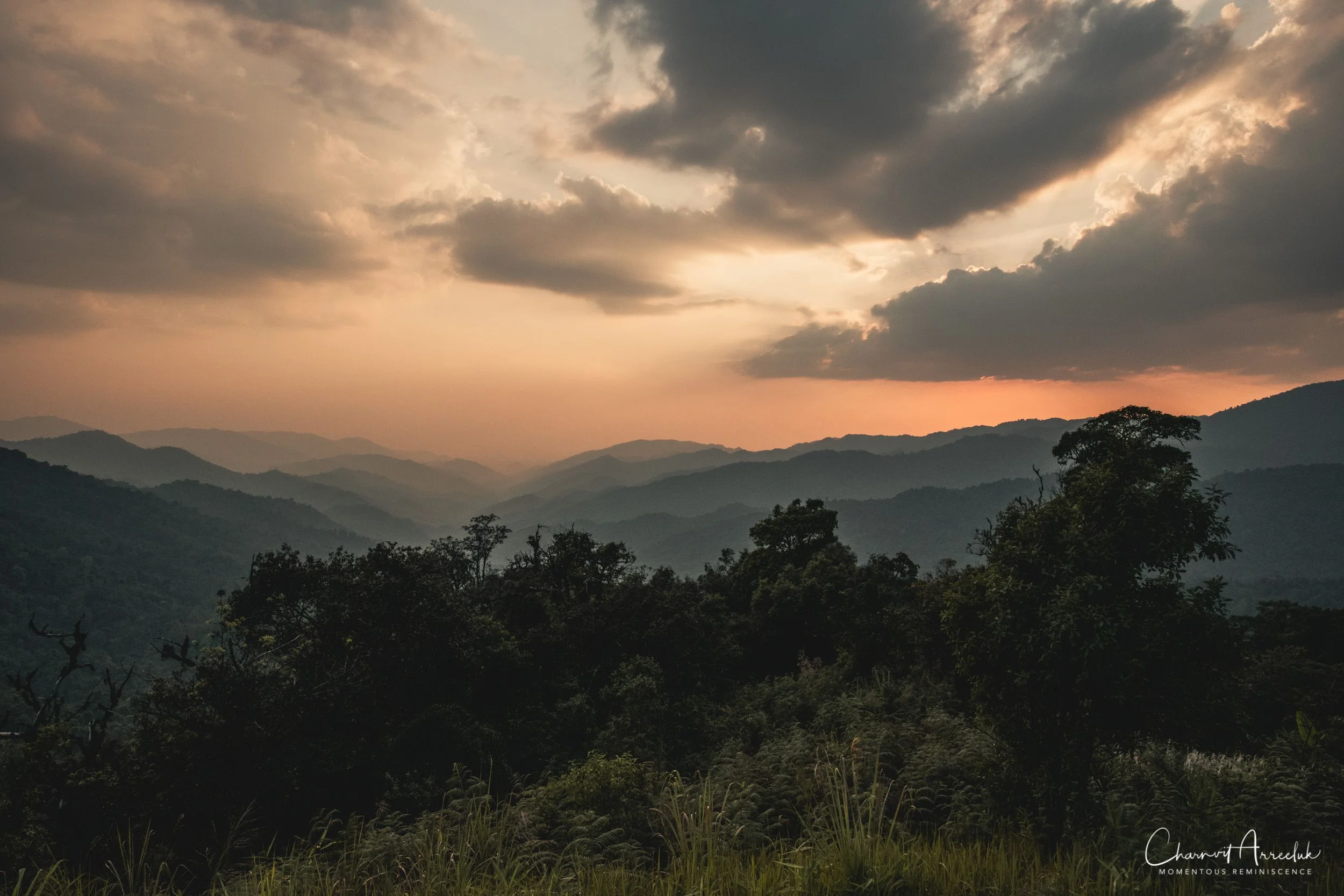 2019-03-01 - Mae Wong National Park - Kampaeng Phet-146_Resize.jpg