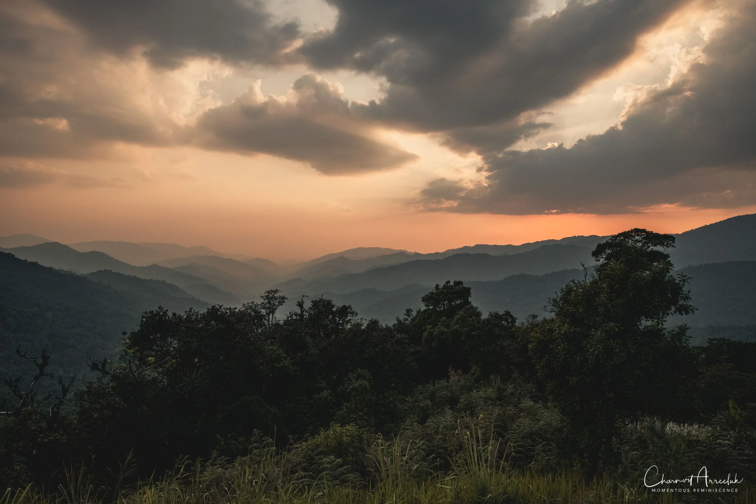 2019-03-01 - Mae Wong National Park - Kampaeng Phet-154_Resize.jpg