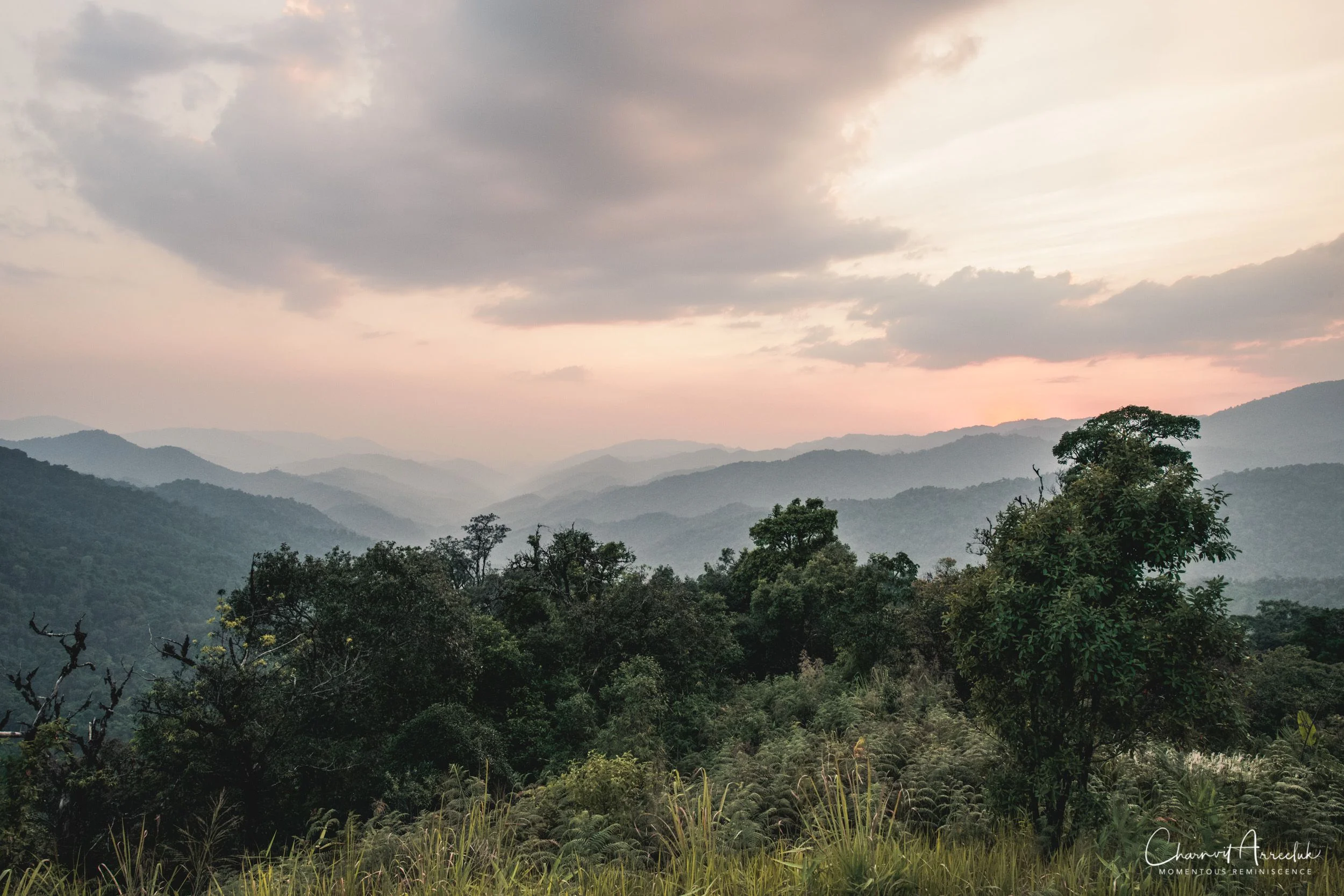 2019-03-01 - Mae Wong National Park - Kampaeng Phet-244_Resize.jpg