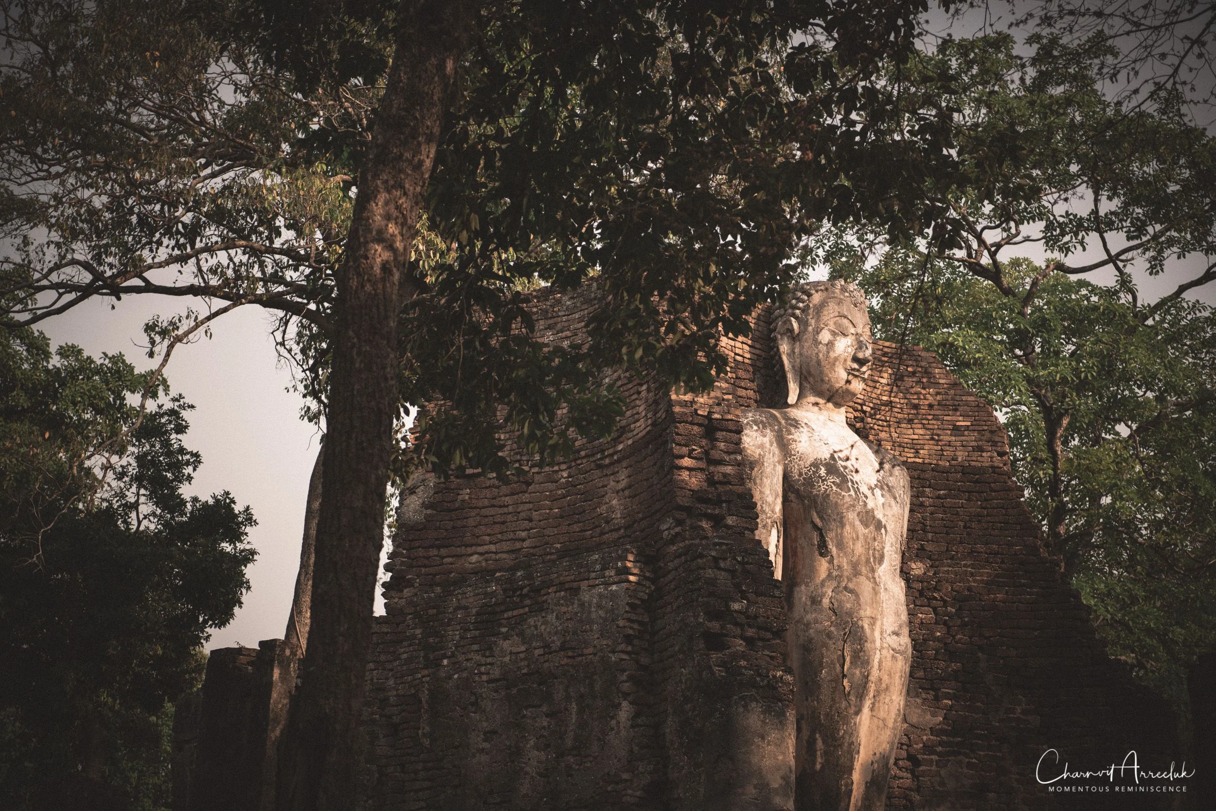 2019-03-01 - Mae Wong National Park - Kampaeng Phet-517_Resize.jpg