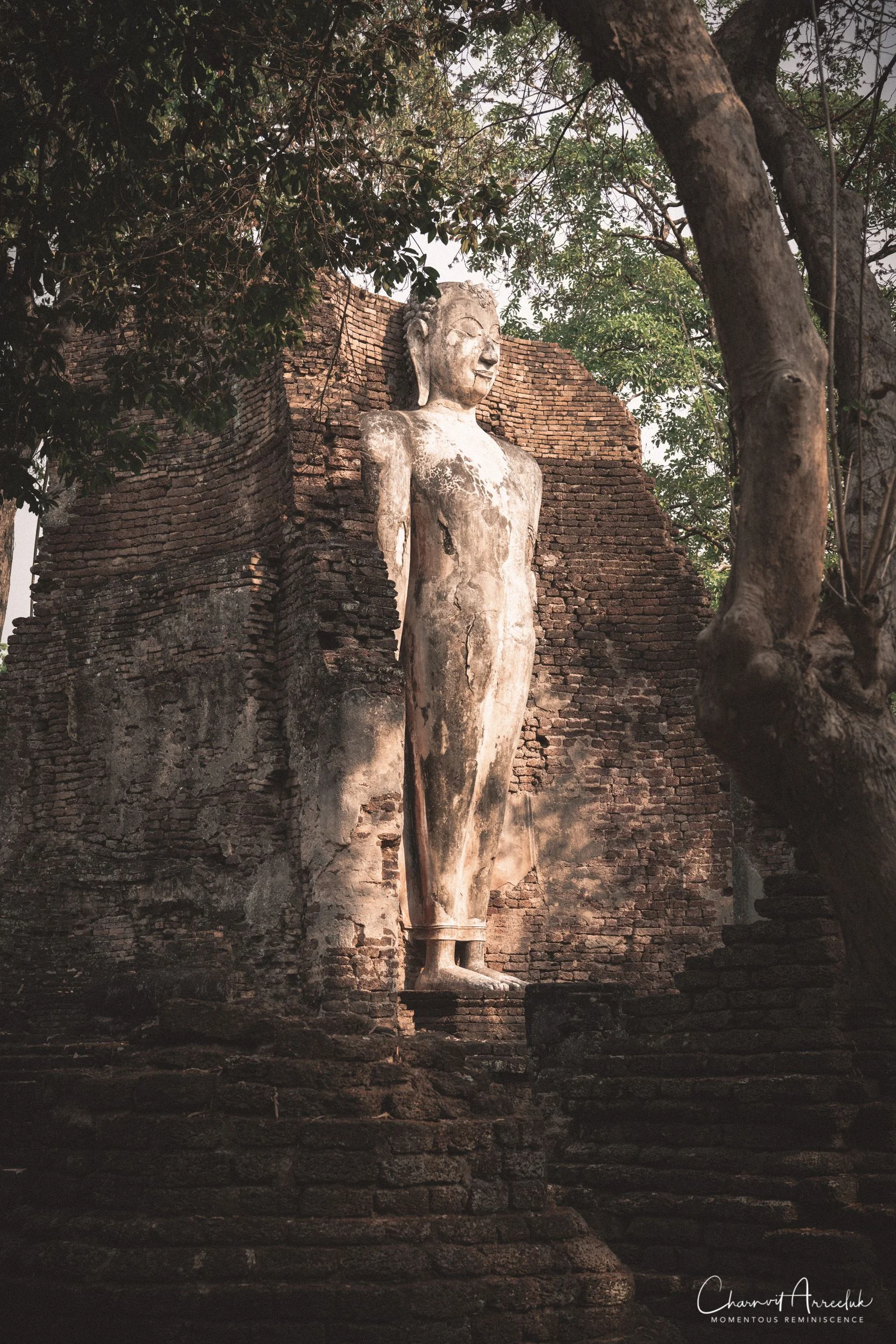 2019-03-01 - Mae Wong National Park - Kampaeng Phet-515_Resize.jpg