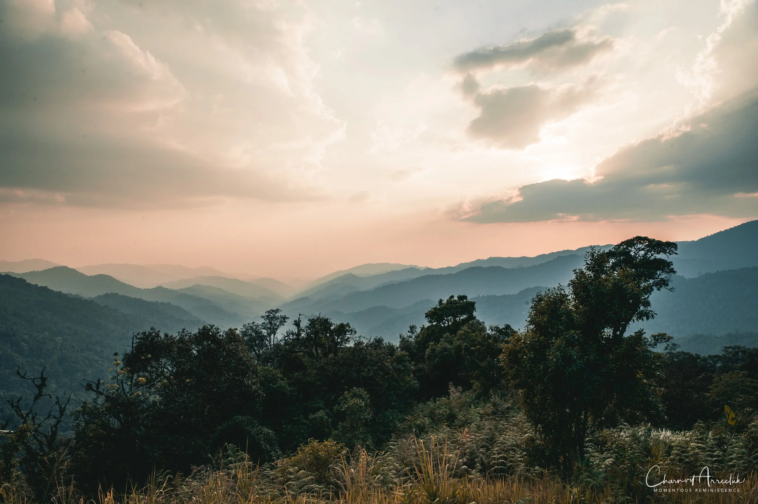 2019-03-01 - Mae Wong National Park - Kampaeng Phet-645_Resize.jpg