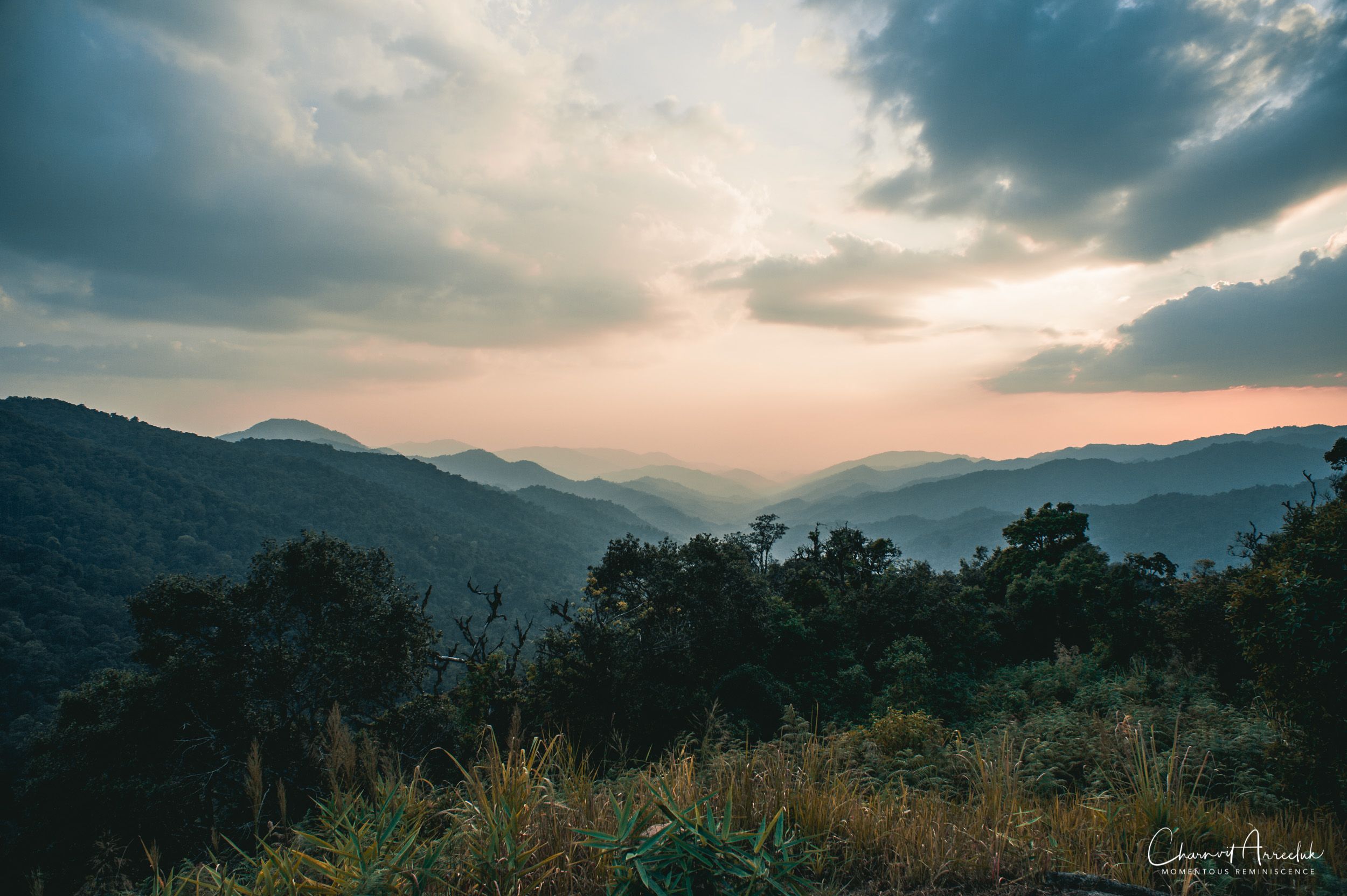 2019-03-01 - Mae Wong National Park - Kampaeng Phet-649_Resize.jpg