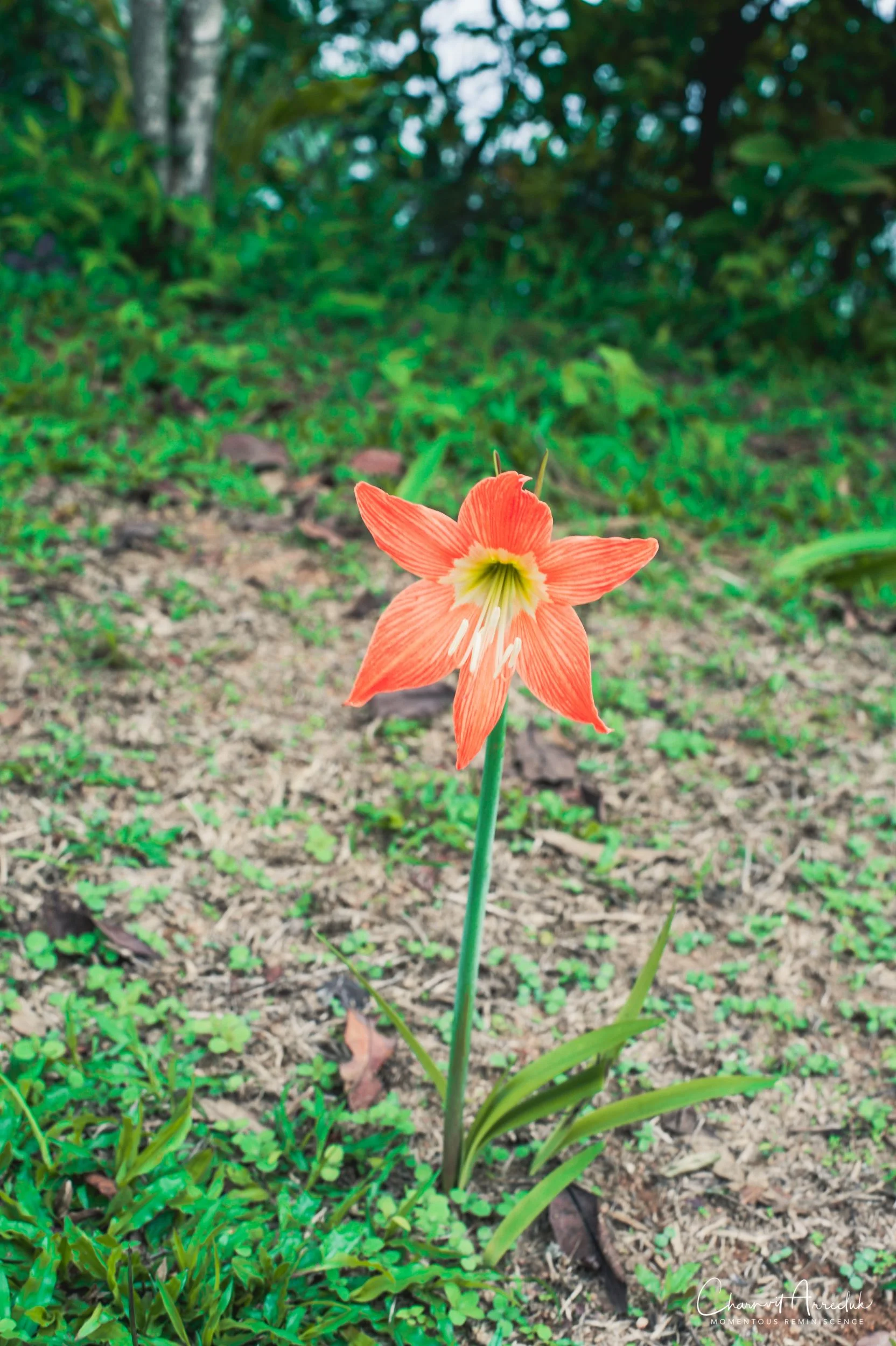2019-05-18 - Kanchanaburi Sangklaburi Pitong Eilok-544_Resize.jpg