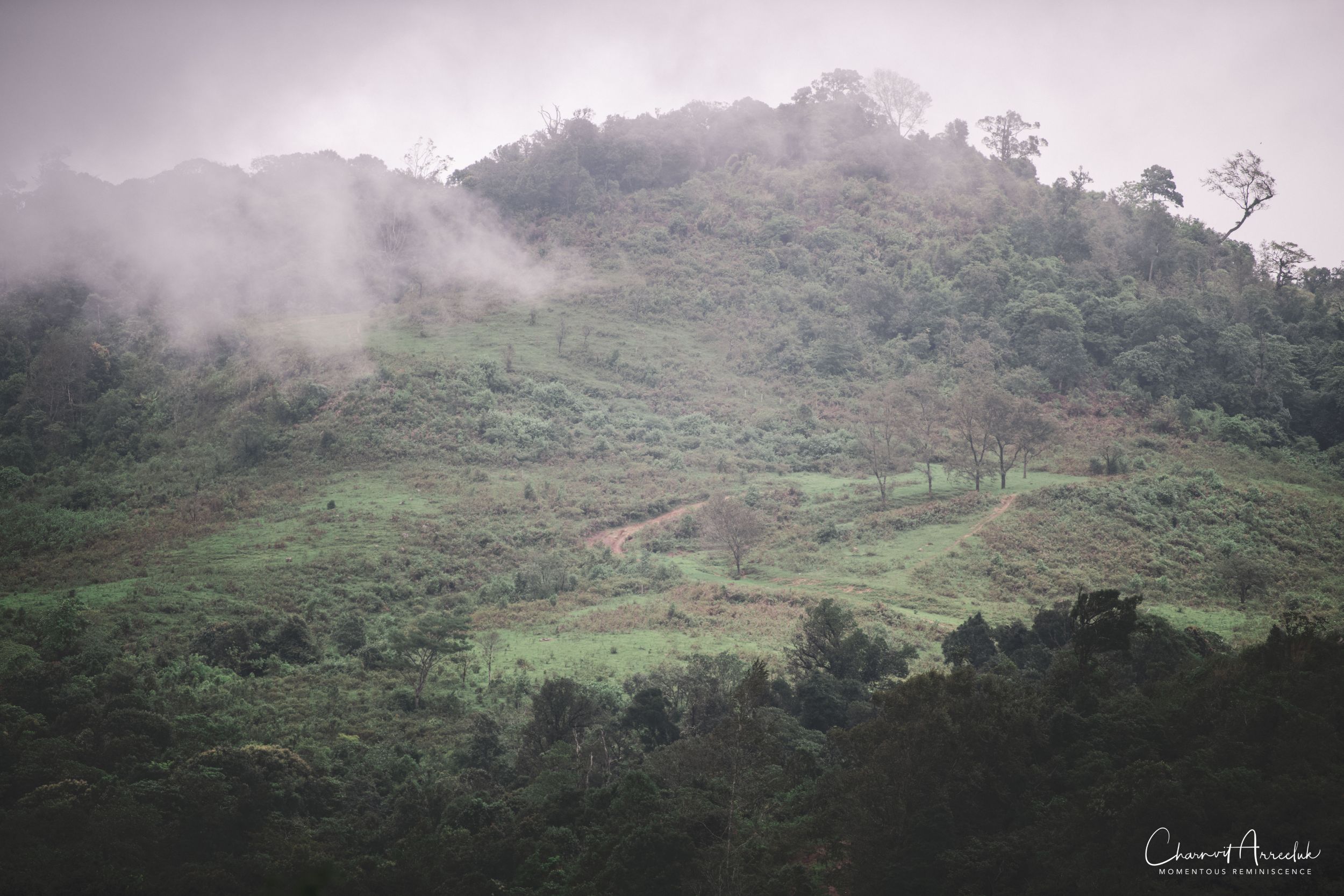 2019-07-06 - Tung Salaeng Luang and TuaPeng-196_Resize.jpg