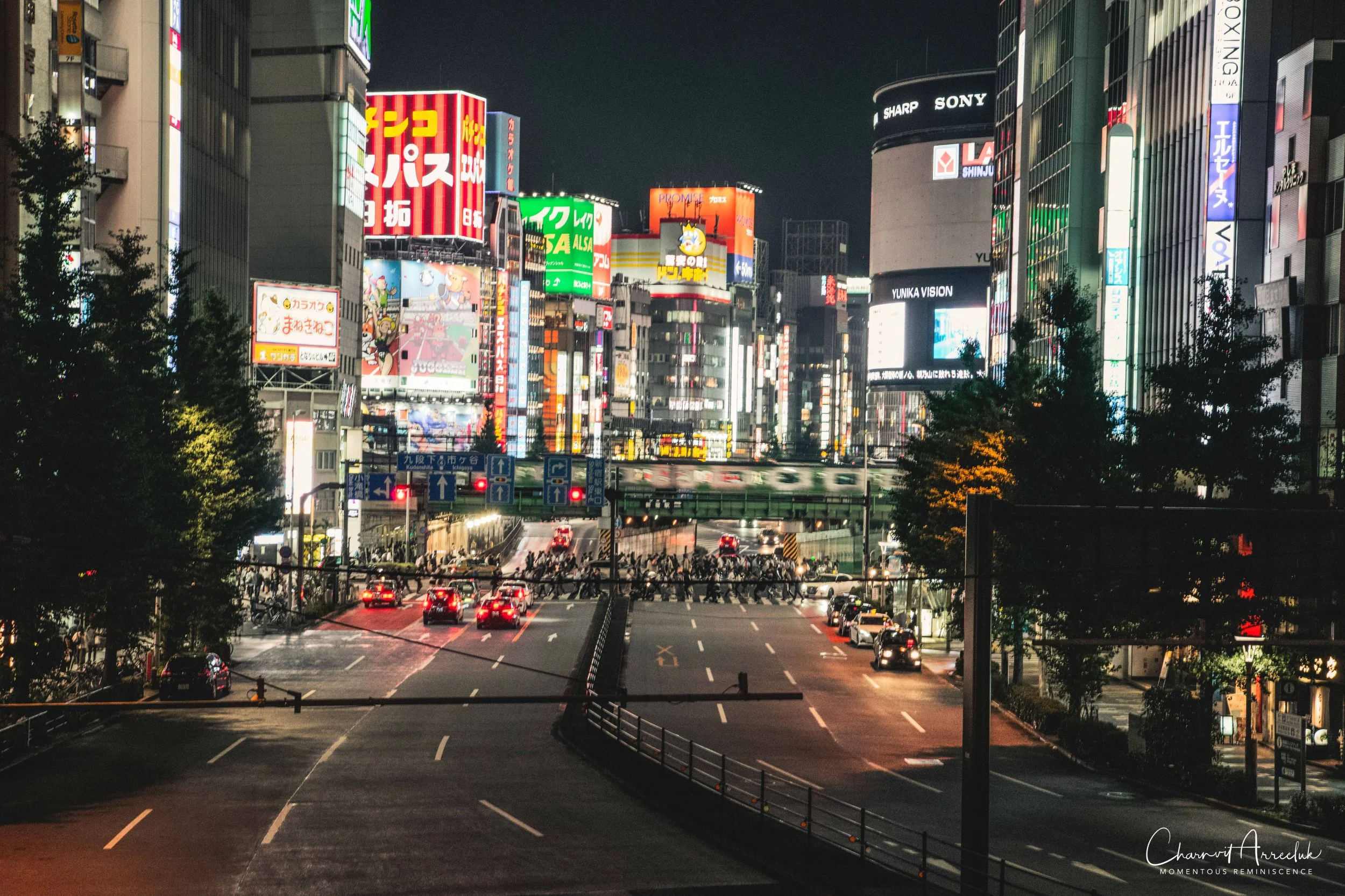 2019-07-11 - Japan-Tokyo-44_Resize.jpg