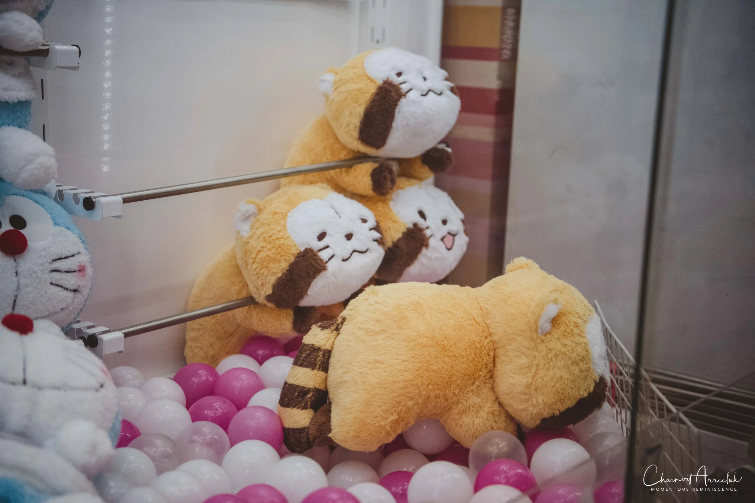 2019-07-11 - Japan-Tokyo-66_Resize.jpg