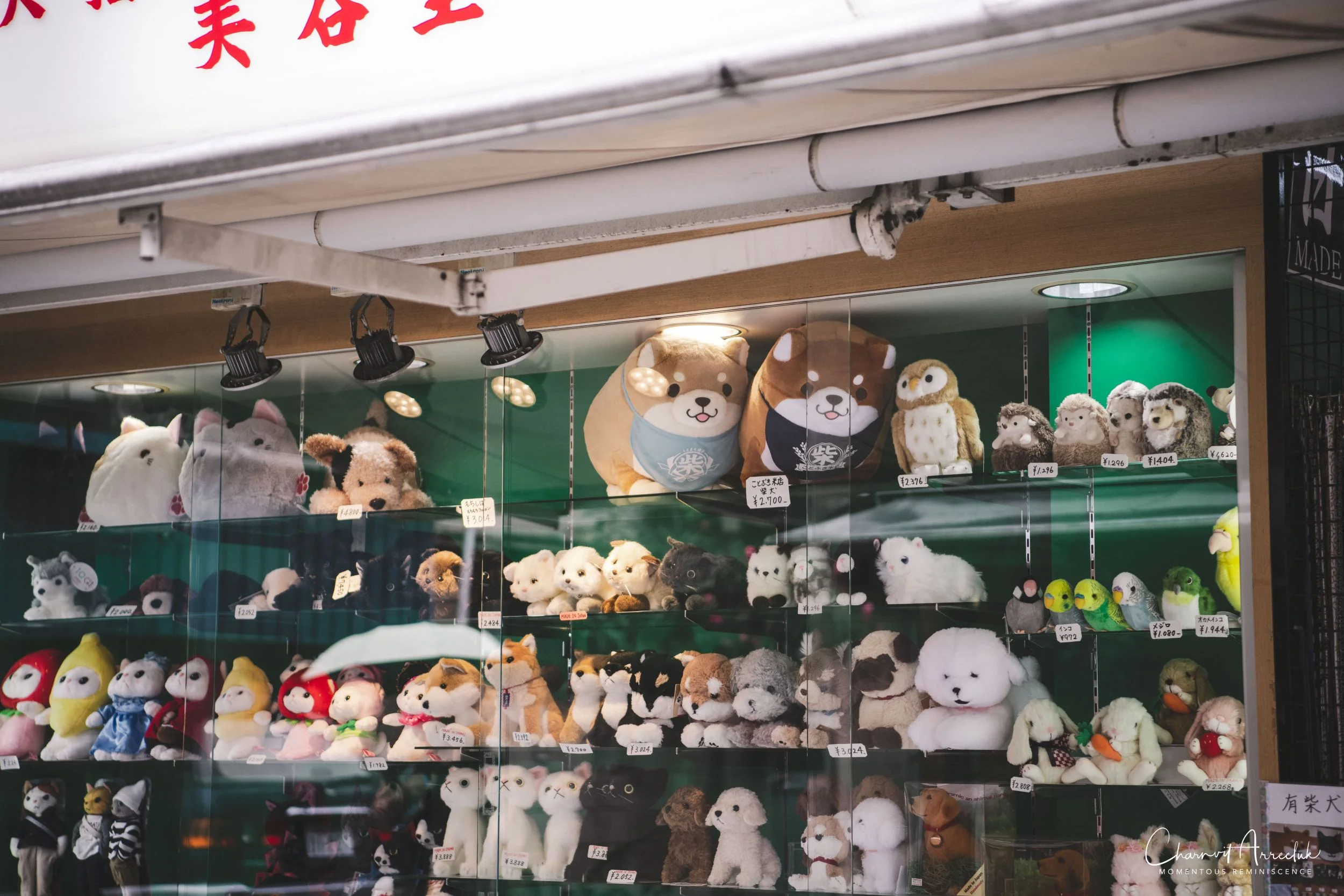 2019-07-11 - Japan-Tokyo-166_Resize.jpg