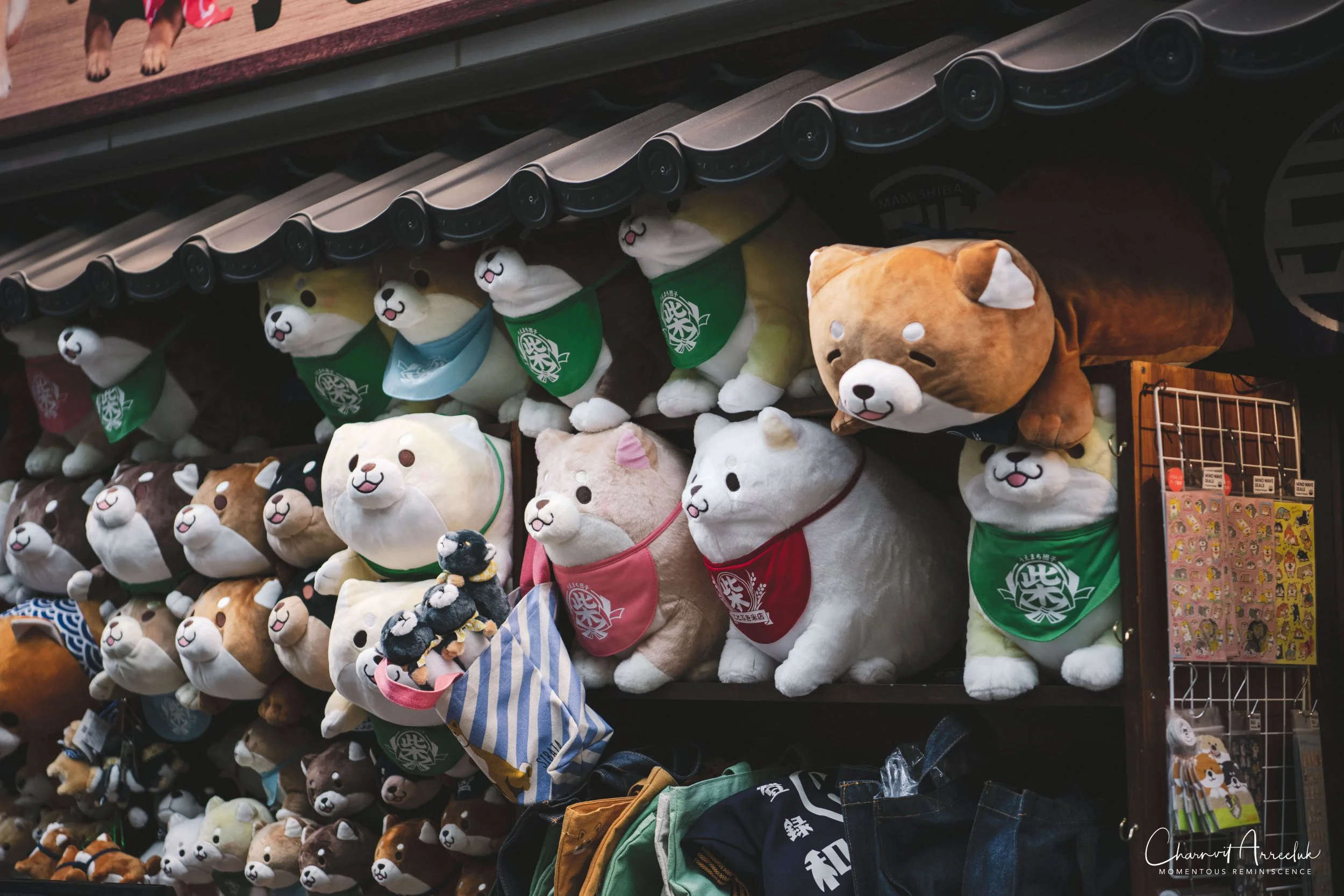 2019-07-11 - Japan-Tokyo-187_Resize.jpg