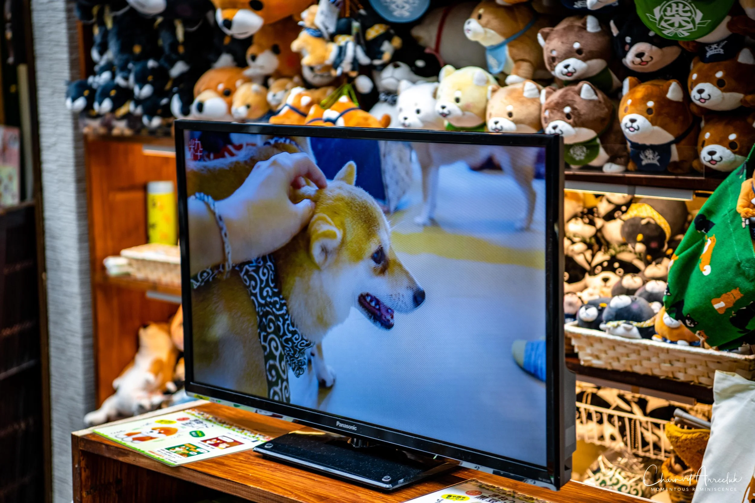 2019-07-11 - Japan-Tokyo-188_Resize.jpg