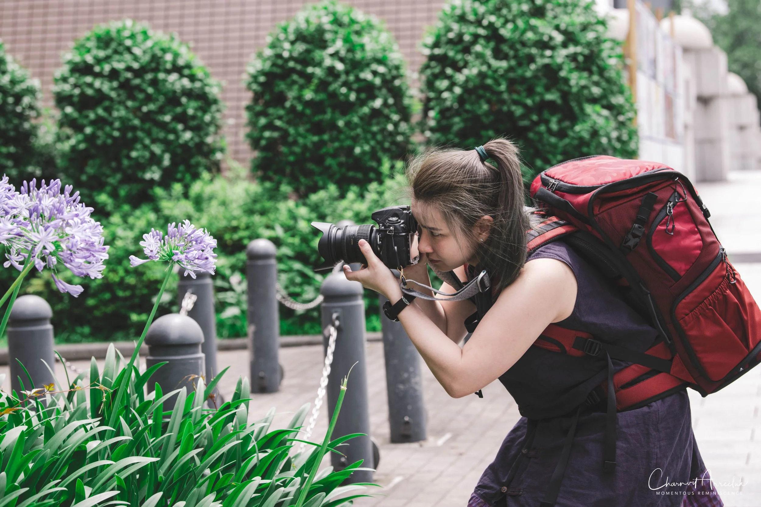 2019-07-11 - Japan-Tokyo-250_Resize.jpg