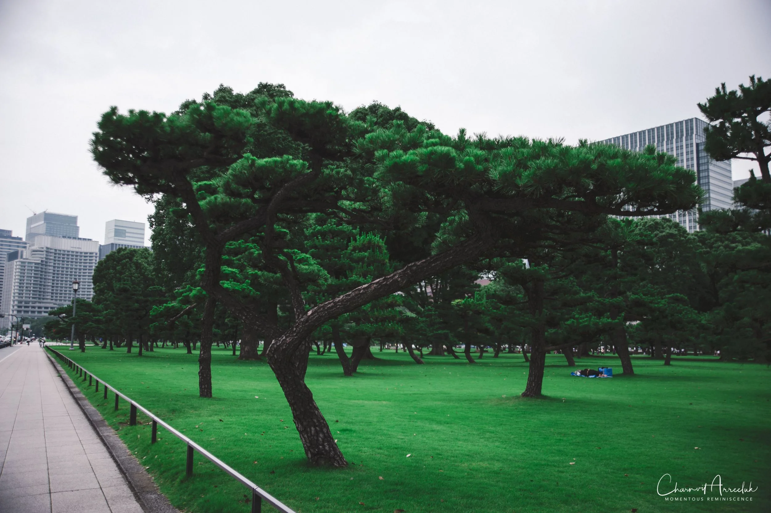 2019-07-11 - Japan-Tokyo-282_Resize.jpg