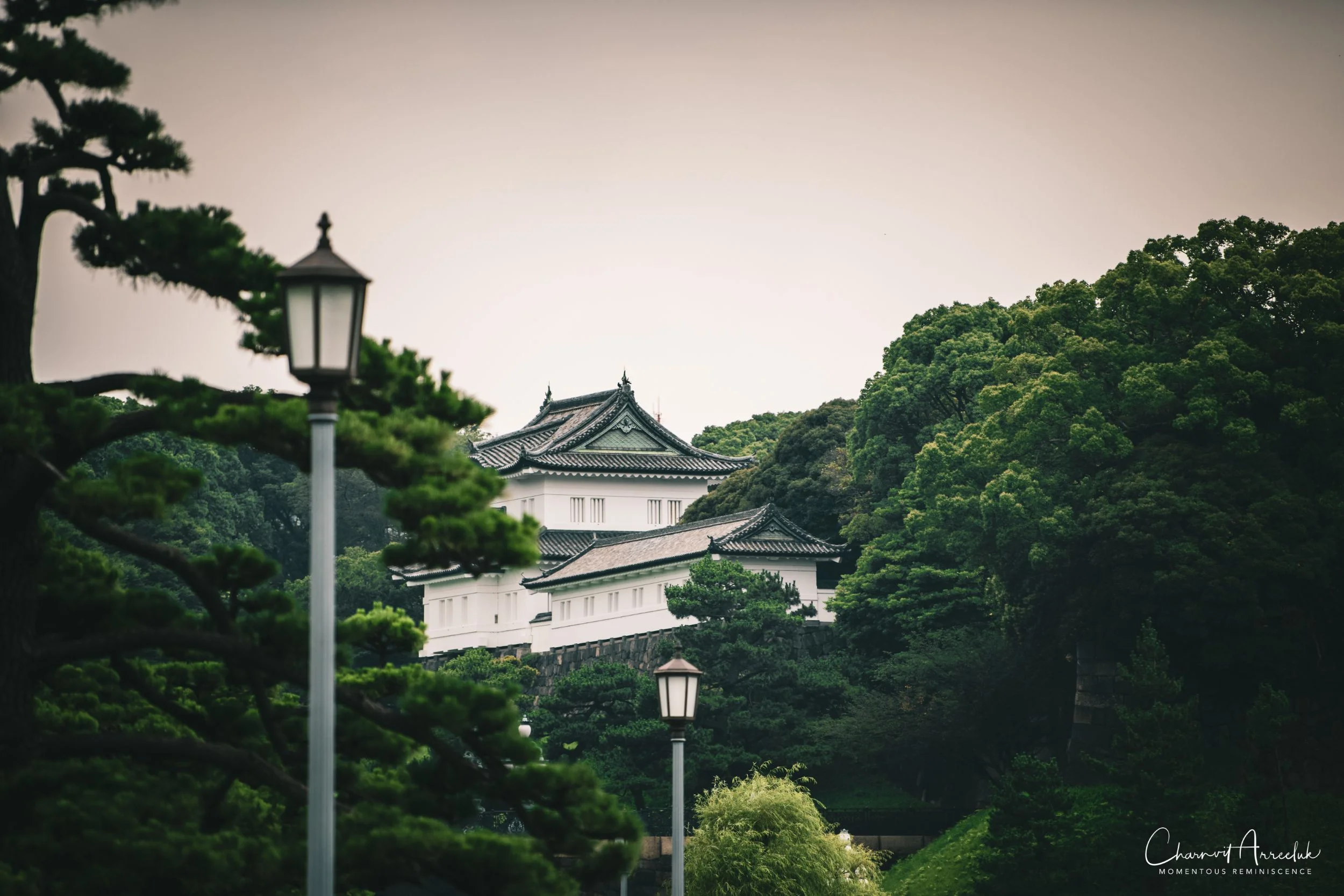 2019-07-11 - Japan-Tokyo-283_Resize.jpg