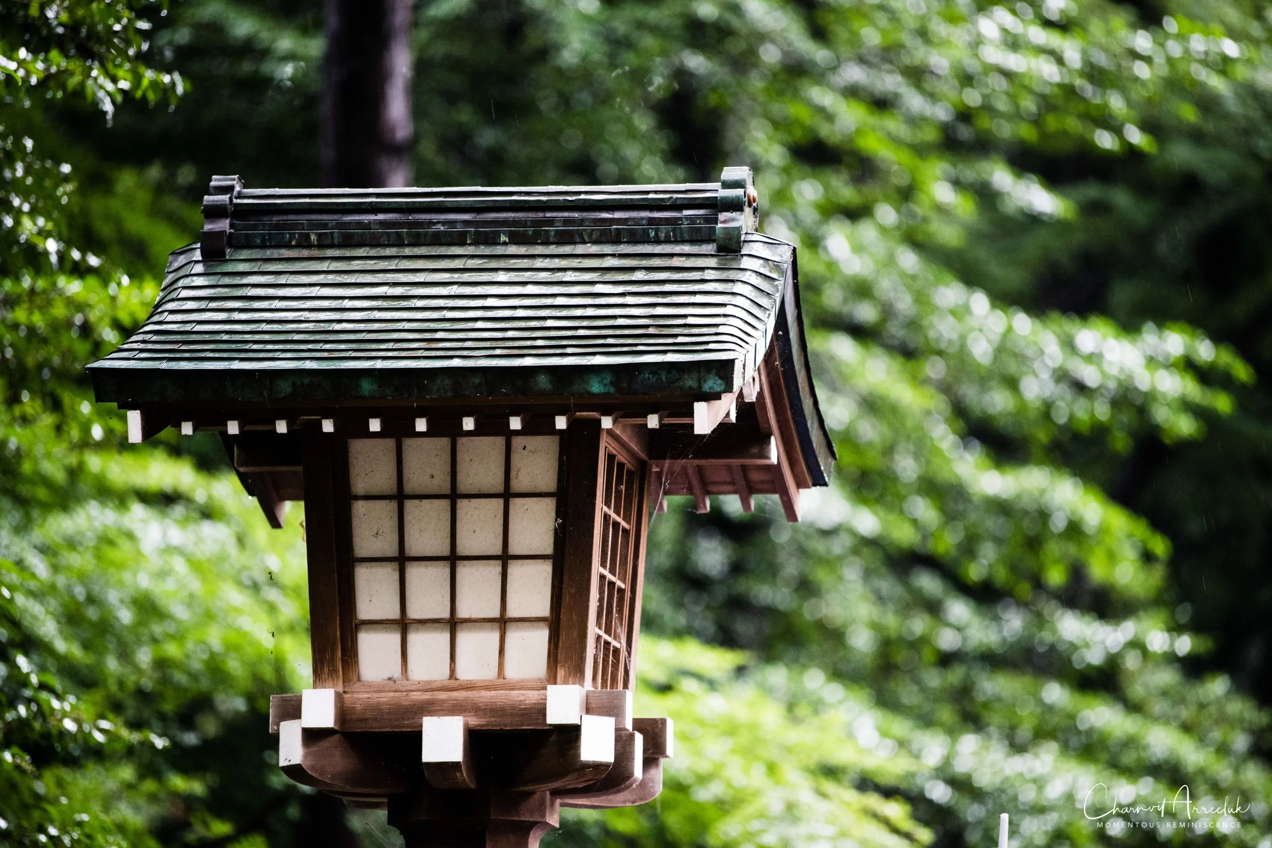 2019-07-11 - Japan-Tokyo-366_Resize.jpg