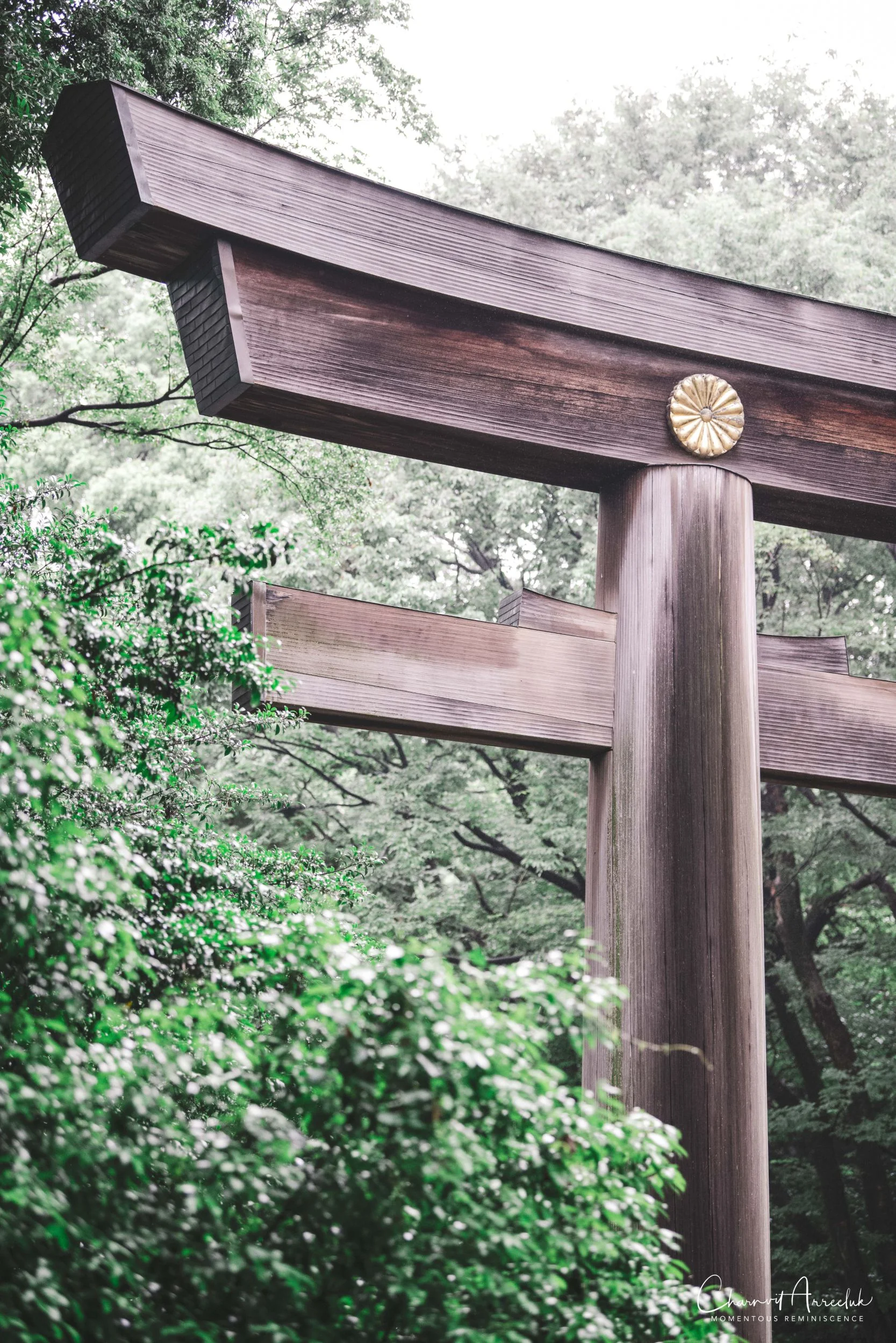 2019-07-11 - Japan-Tokyo-376_Resize.jpg