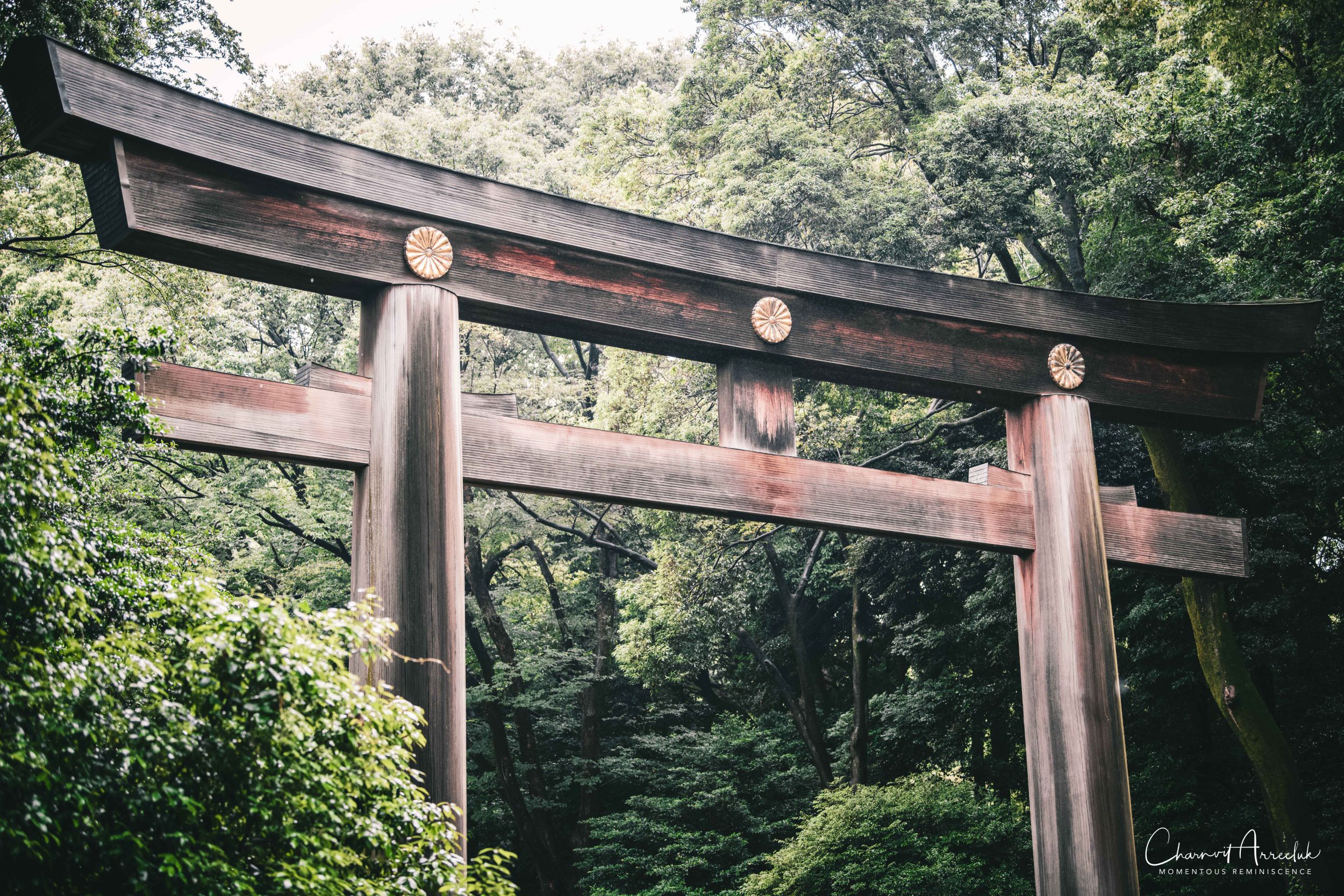 2019-07-11 - Japan-Tokyo-375_Resize.jpg