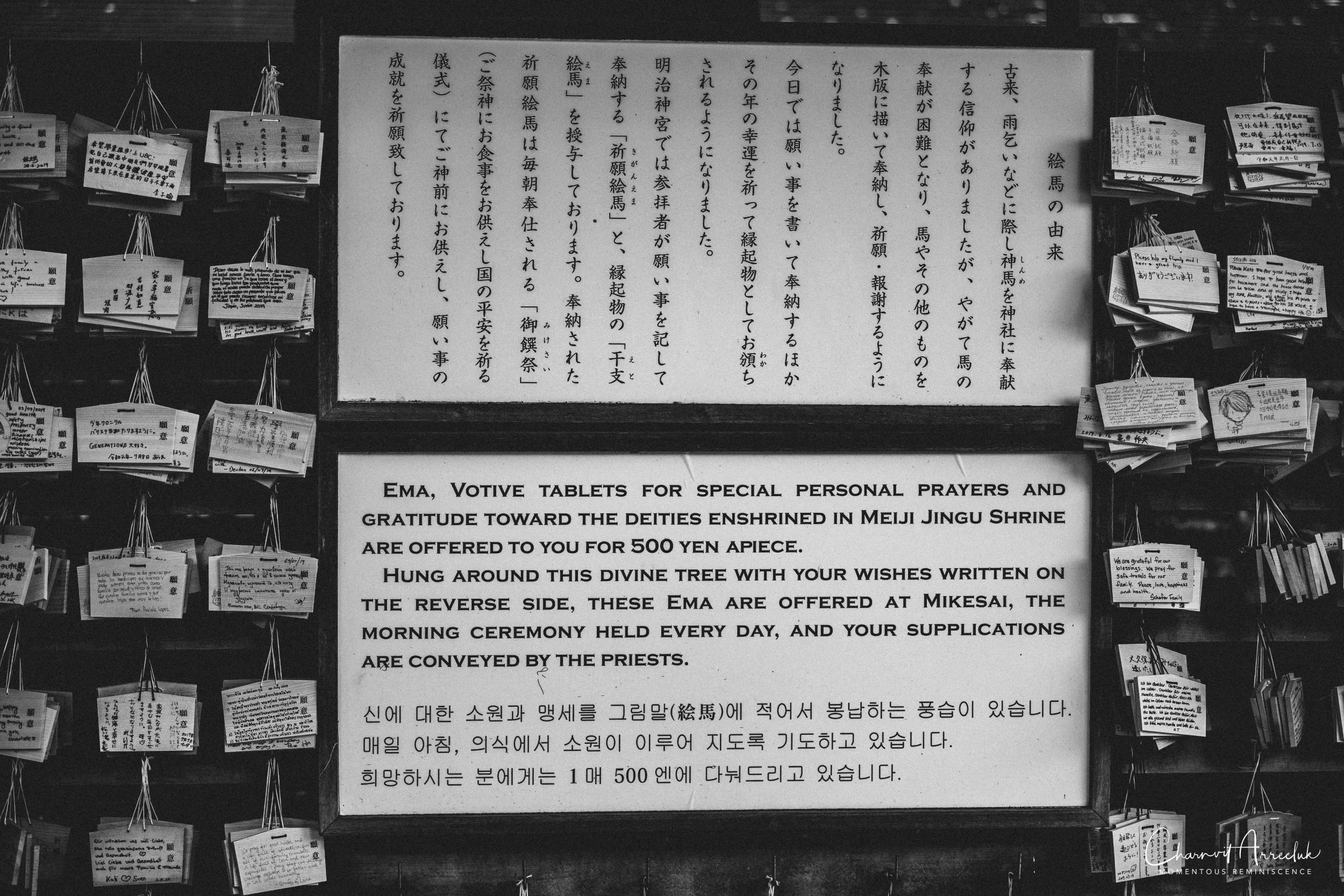 2019-07-11 - Japan-Tokyo-383_Resize.jpg