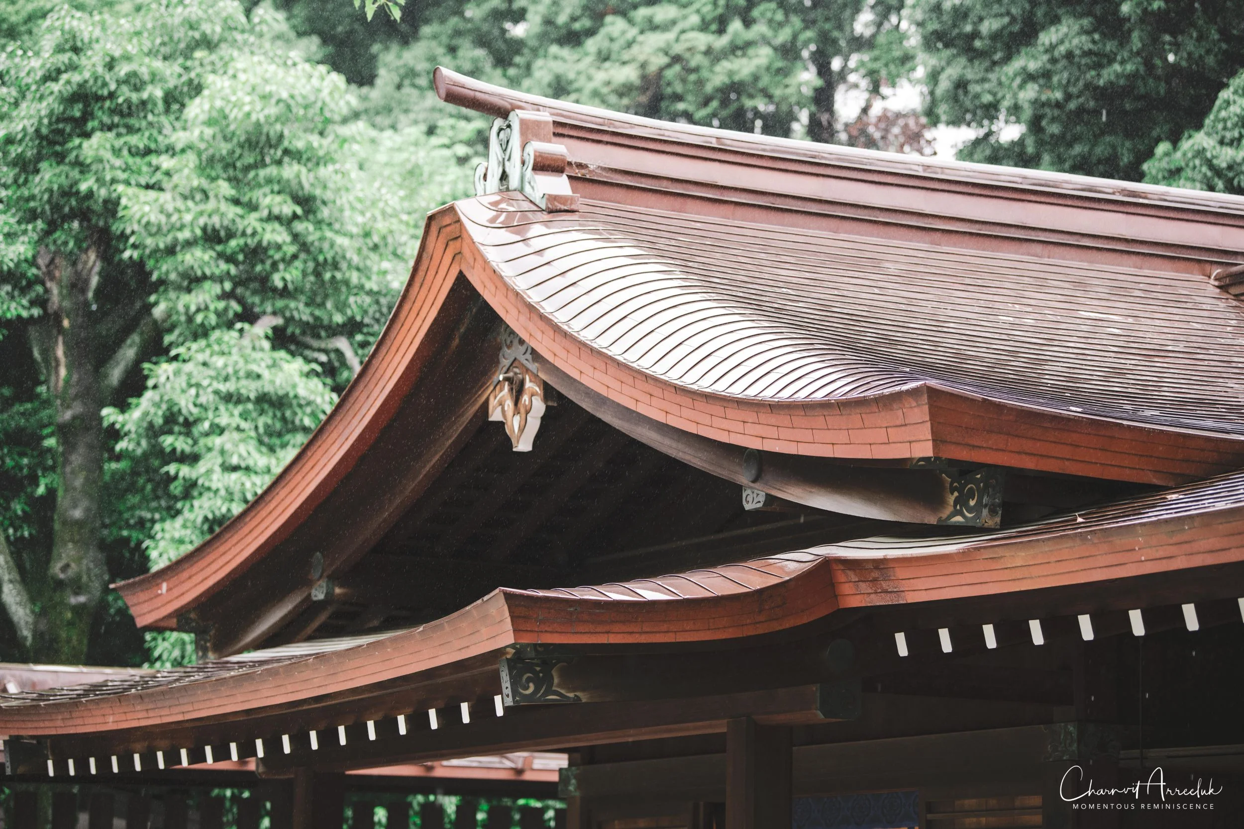 2019-07-11 - Japan-Tokyo-391_Resize.jpg