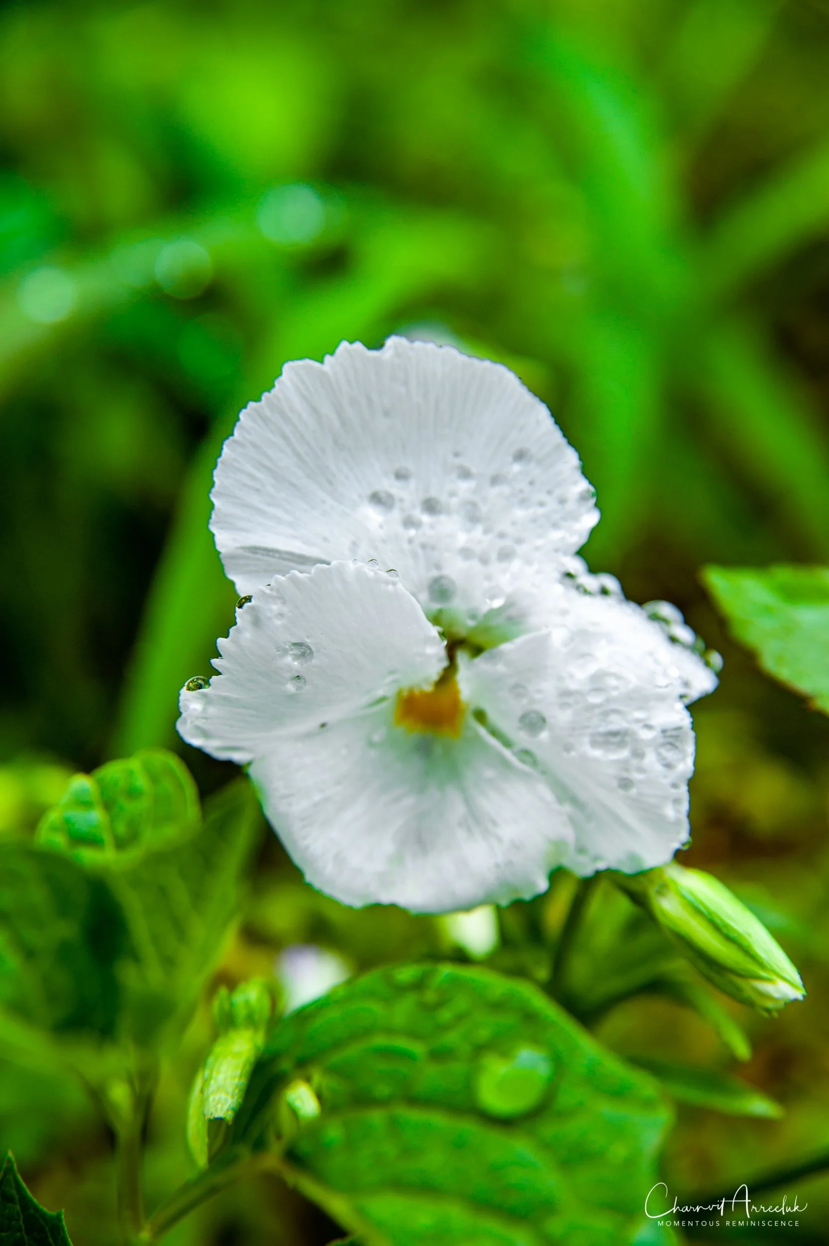 2019-07-11 - Japan-Tokyo-406_Resize.jpg