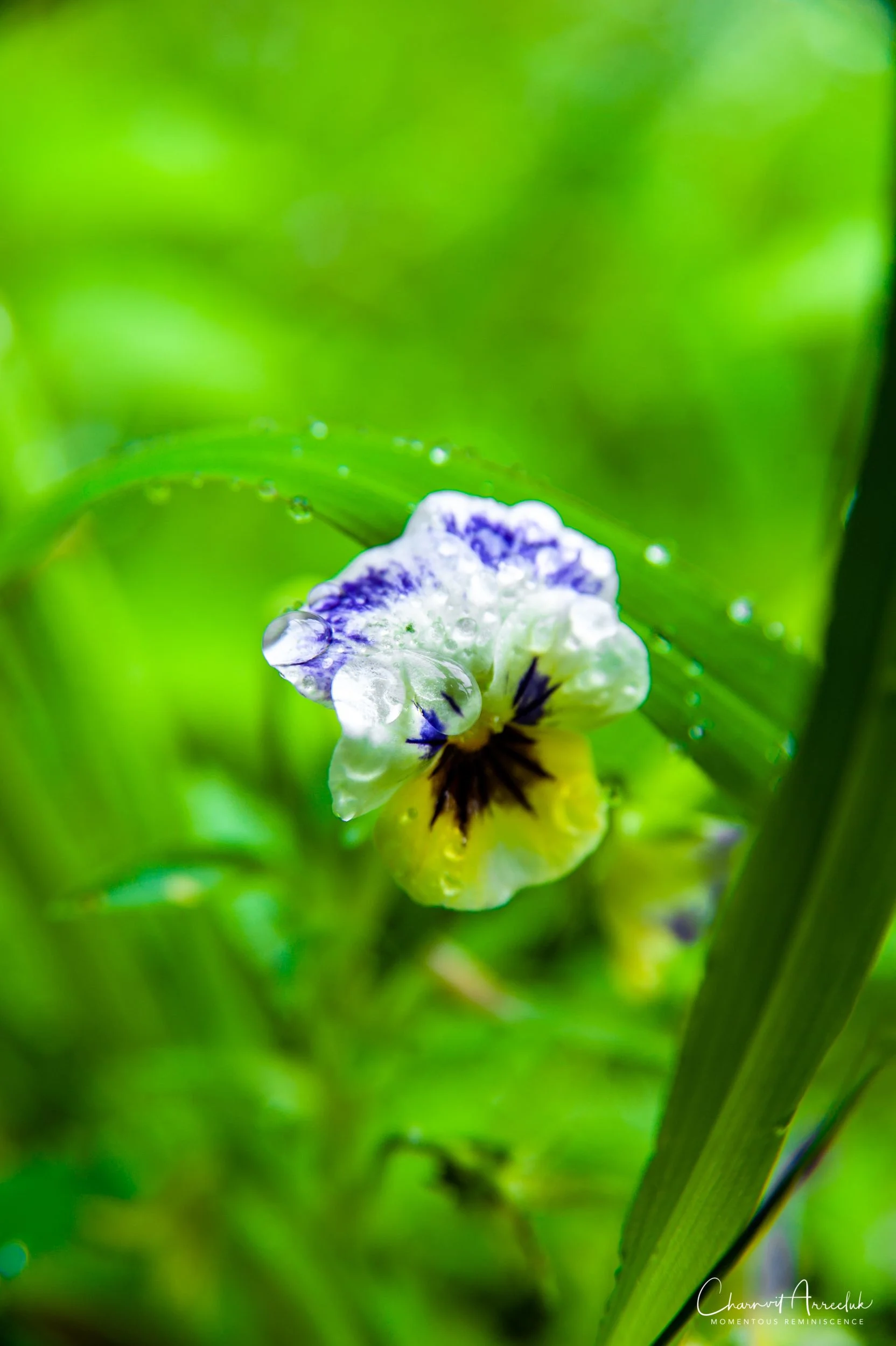2019-07-11 - Japan-Tokyo-408_Resize.jpg
