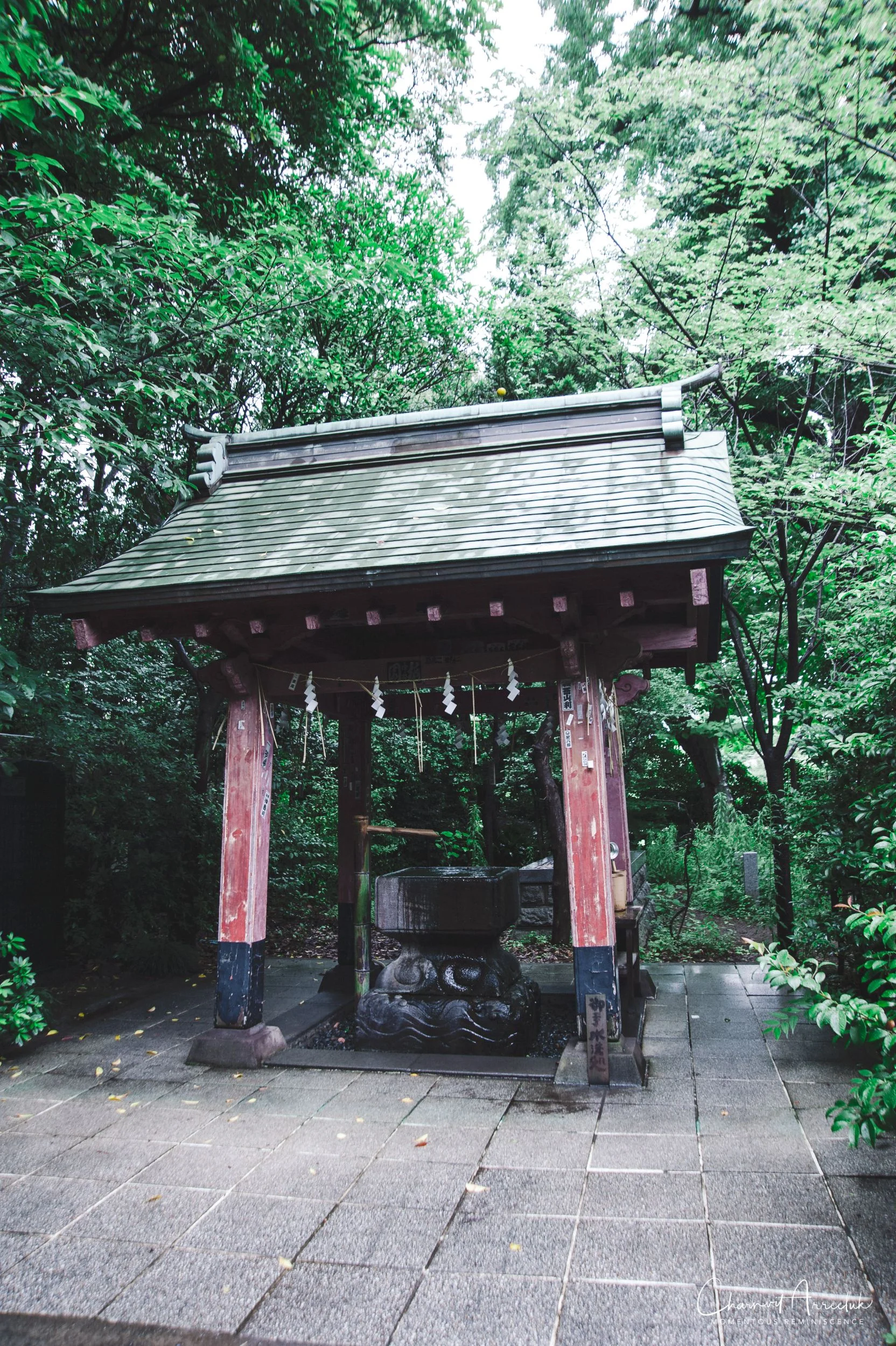2019-07-11 - Japan-Tokyo-413_Resize.jpg