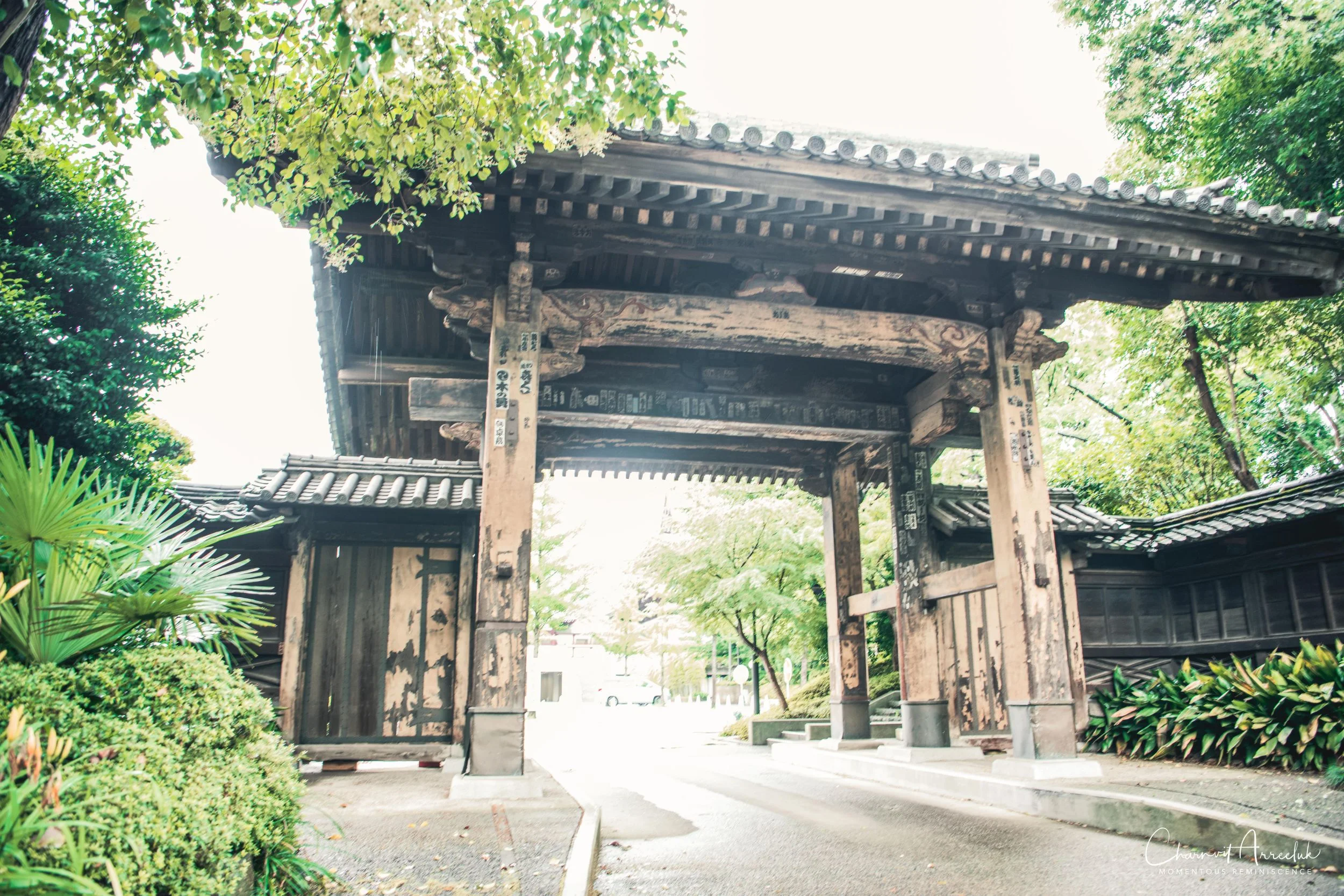 2019-07-11 - Japan-Tokyo-419_Resize.jpg