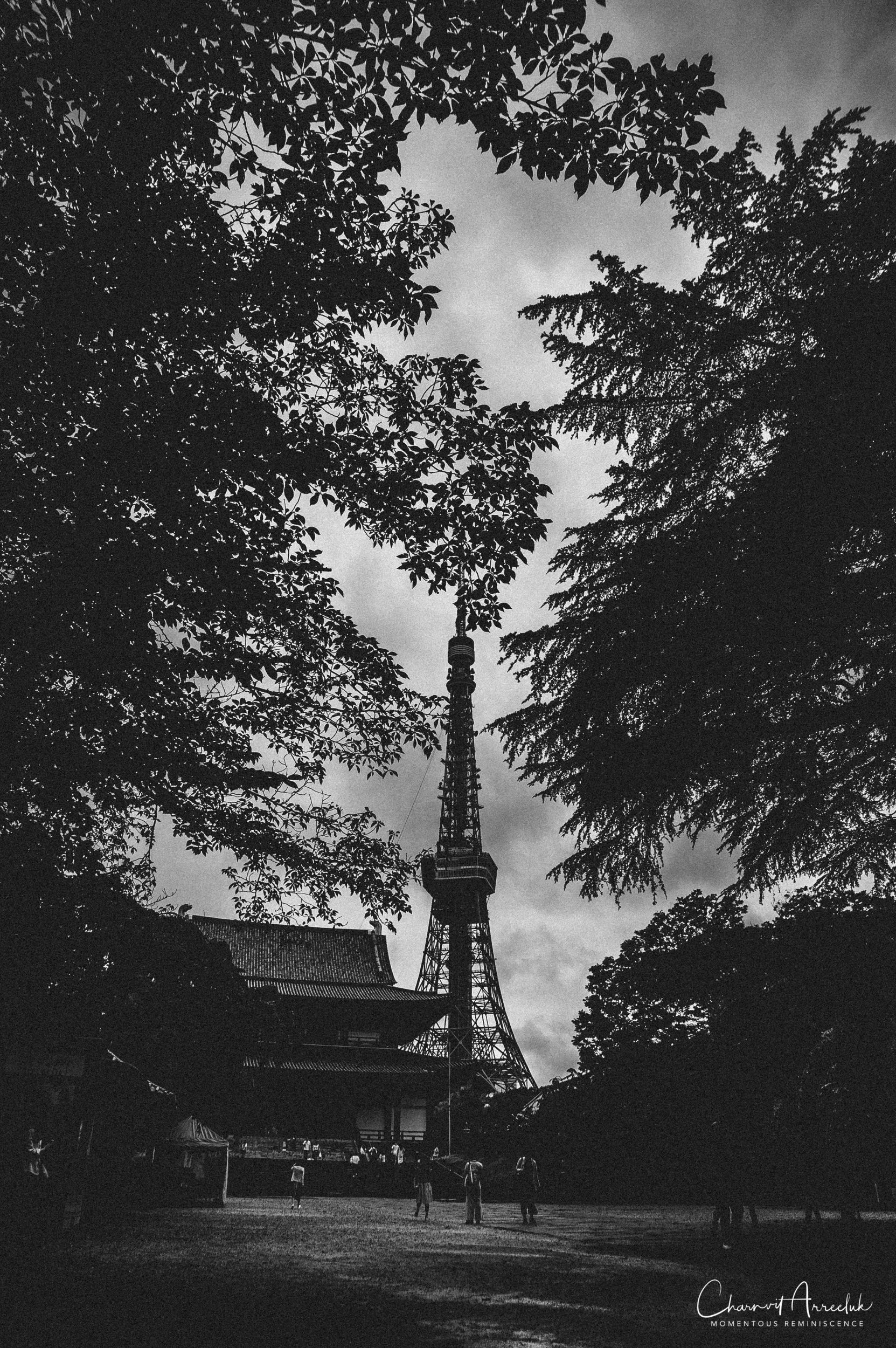 2019-07-11 - Japan-Tokyo-422_Resize.jpg