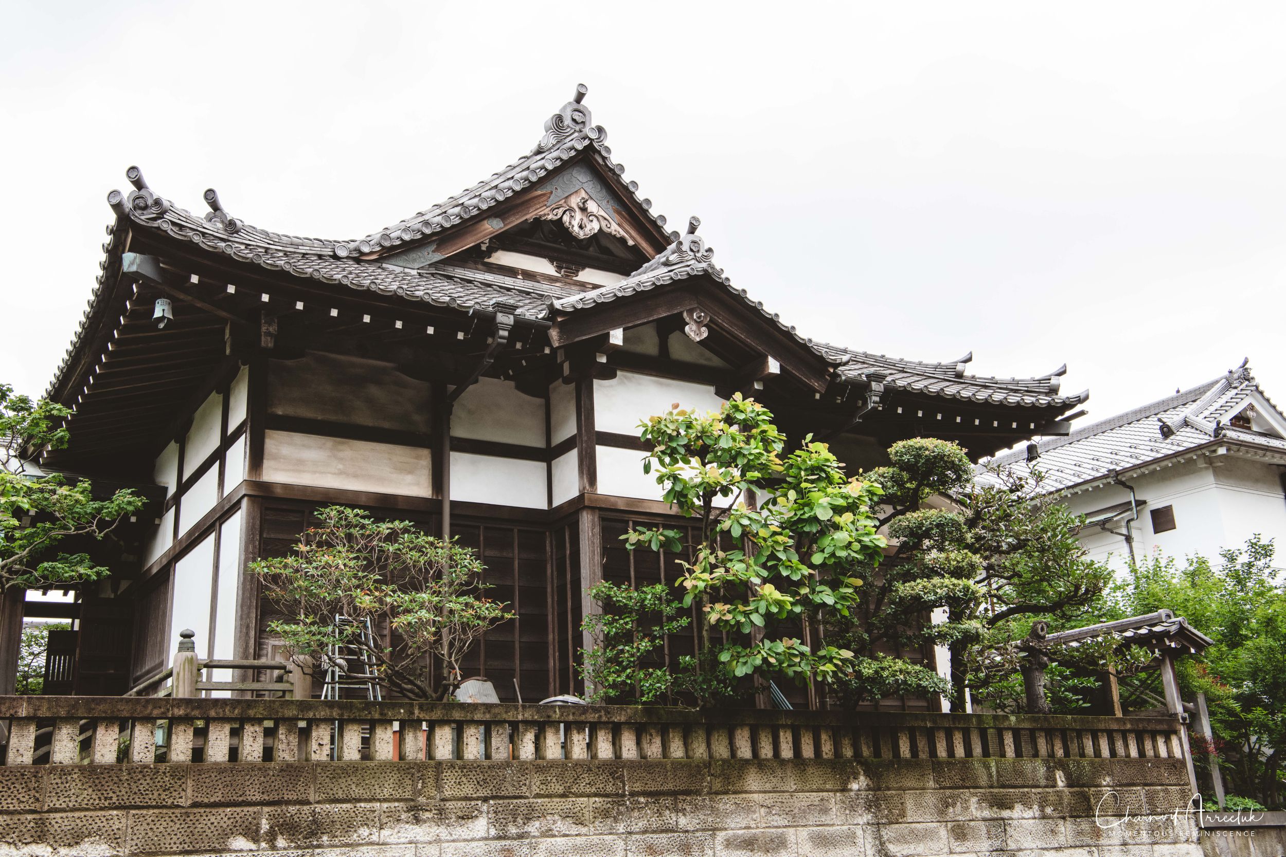 2019-07-11 - Japan-Tokyo-487_Resize.jpg
