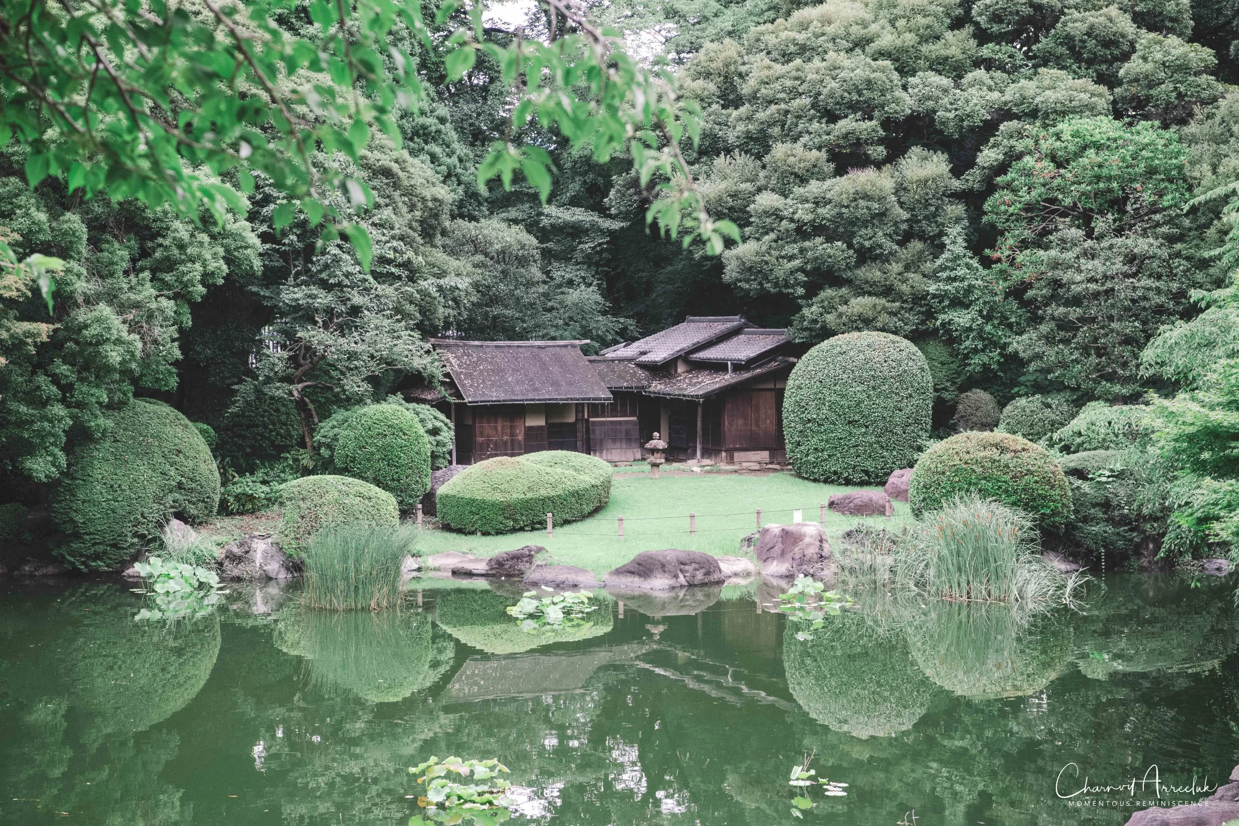 2019-07-11 - Japan-Tokyo-496_Resize.jpg