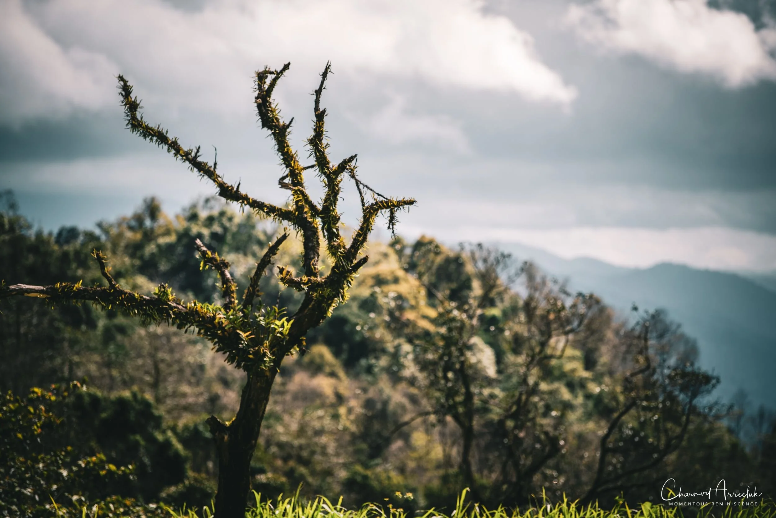 2019-09-13 - Maewong National Park (ChongYen) with Pong-14_Resize.jpg