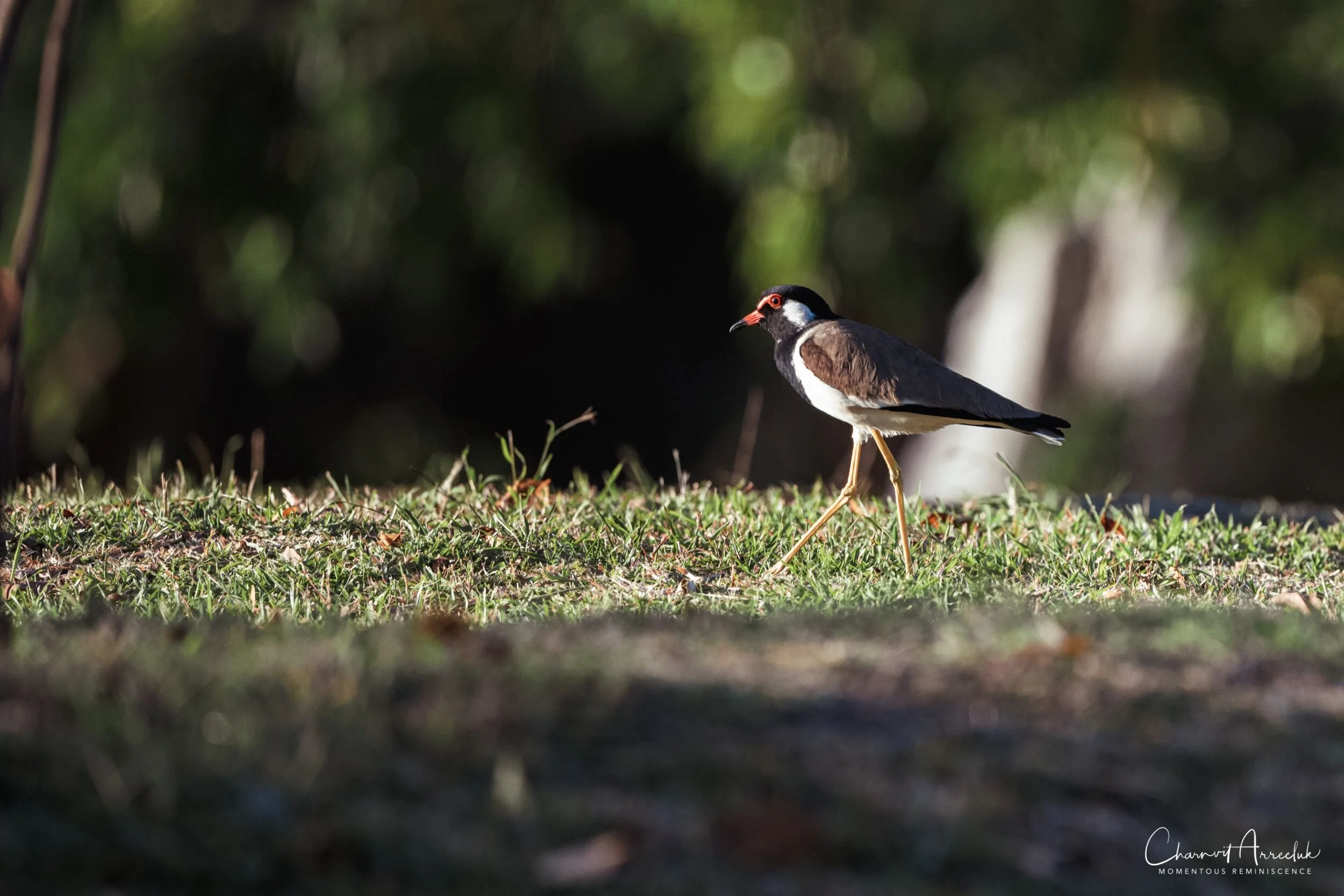 2019-11-30 - สวนพุทธมณฑล 2-4_Resize.jpg