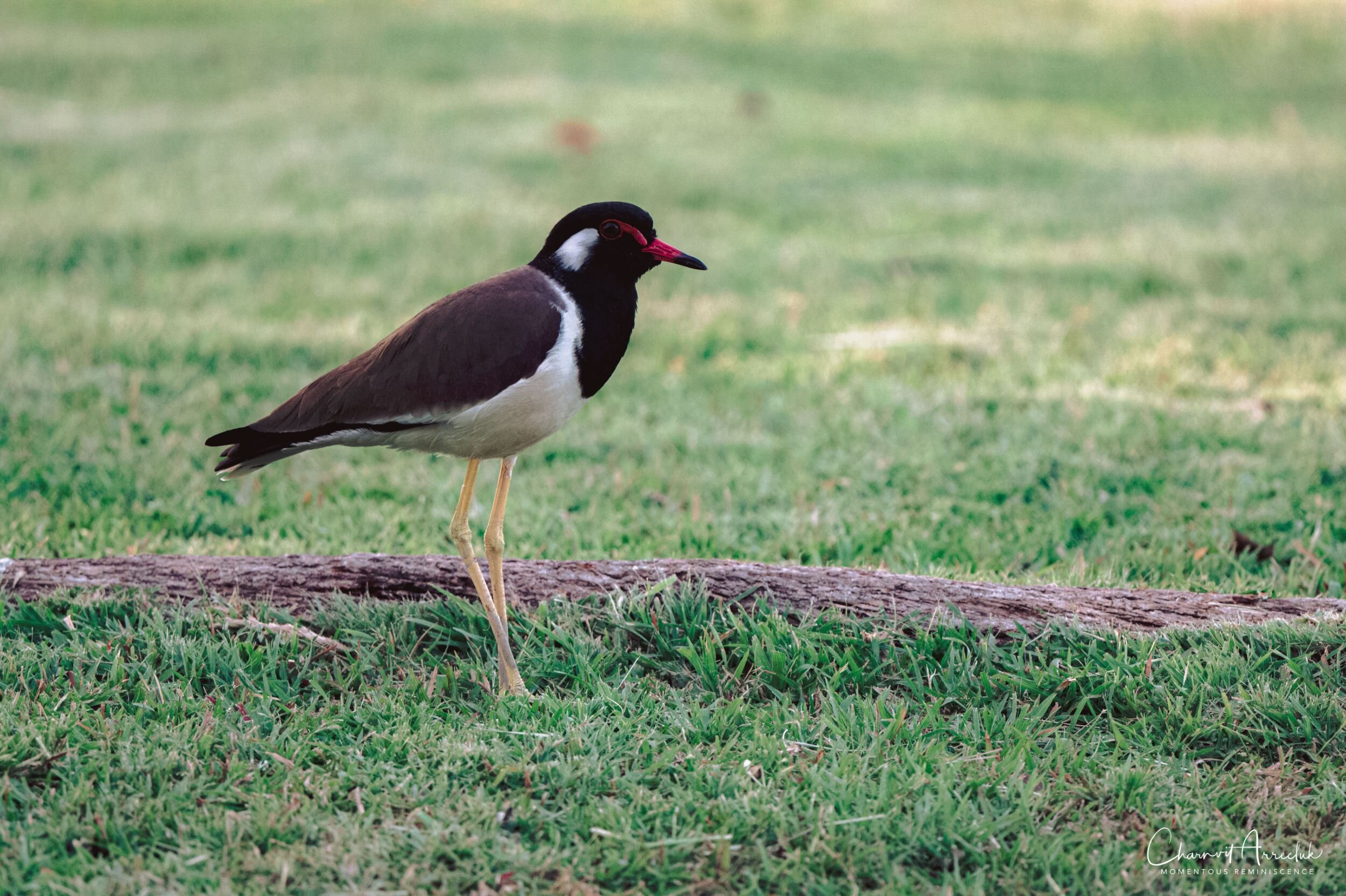 2019-11-30 - สวนพุทธมณฑล 2-7_Resize.jpg