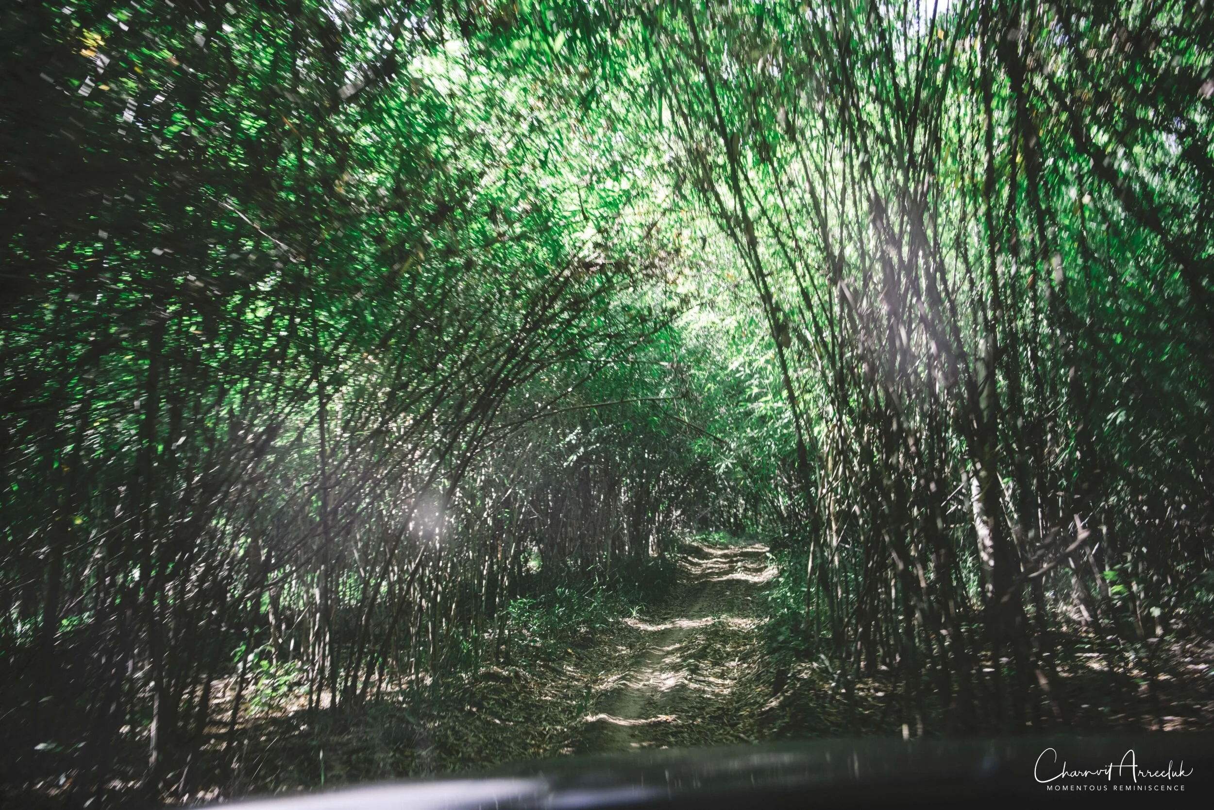 2019-12-05 - Offroad to BannBorHoi and Doi SuanYaLuang-72_Resize.jpg