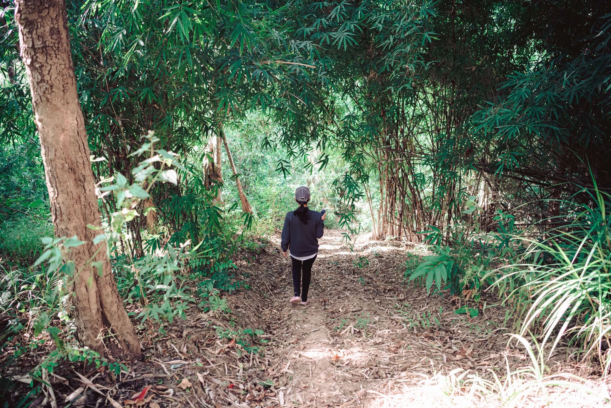 2019-12-05 - Offroad to BannBorHoi and Doi SuanYaLuang-89_Resize.jpg