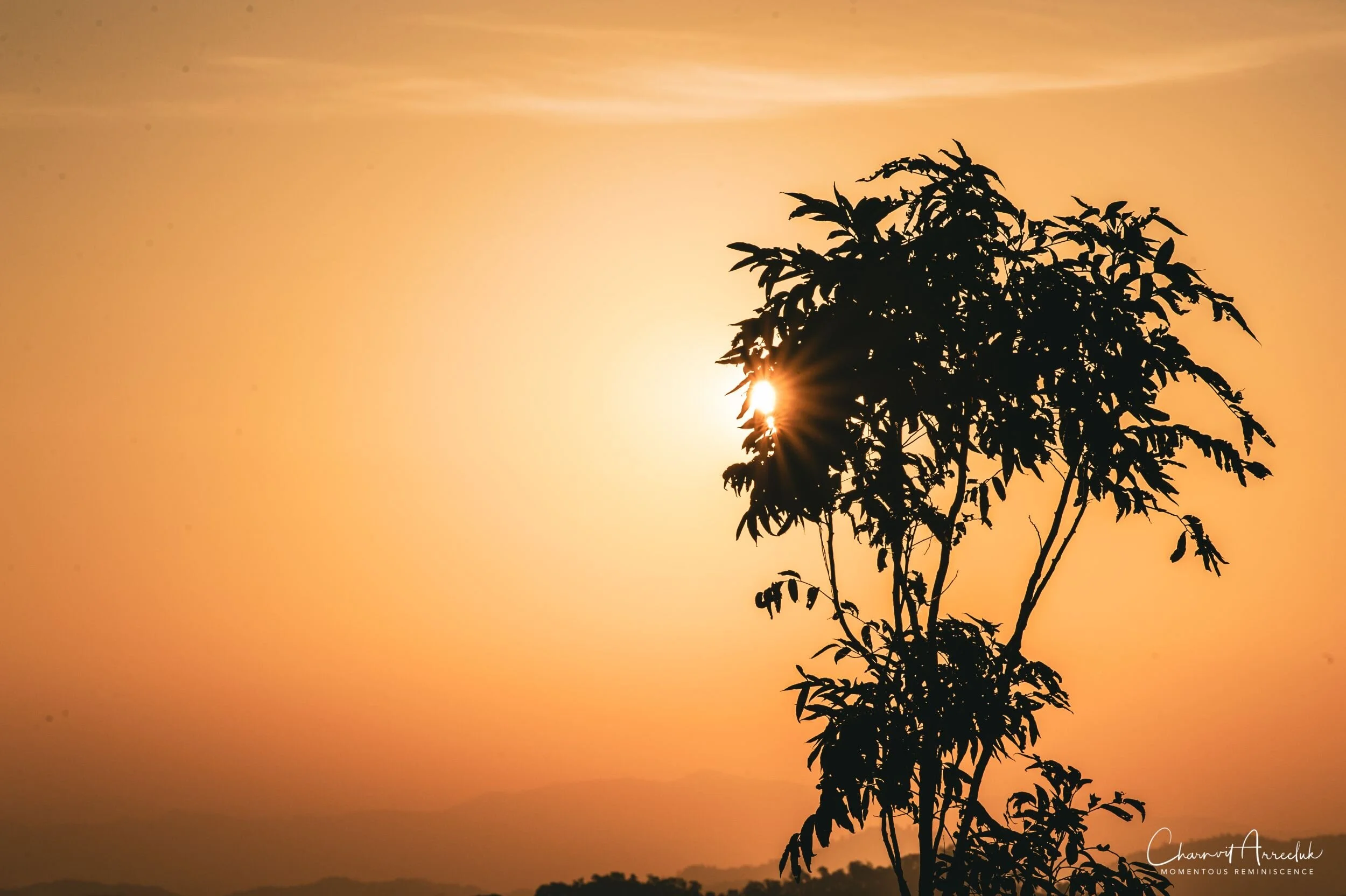 2019-12-05 - Offroad to BannBorHoi and Doi SuanYaLuang-1011_Resize.jpg